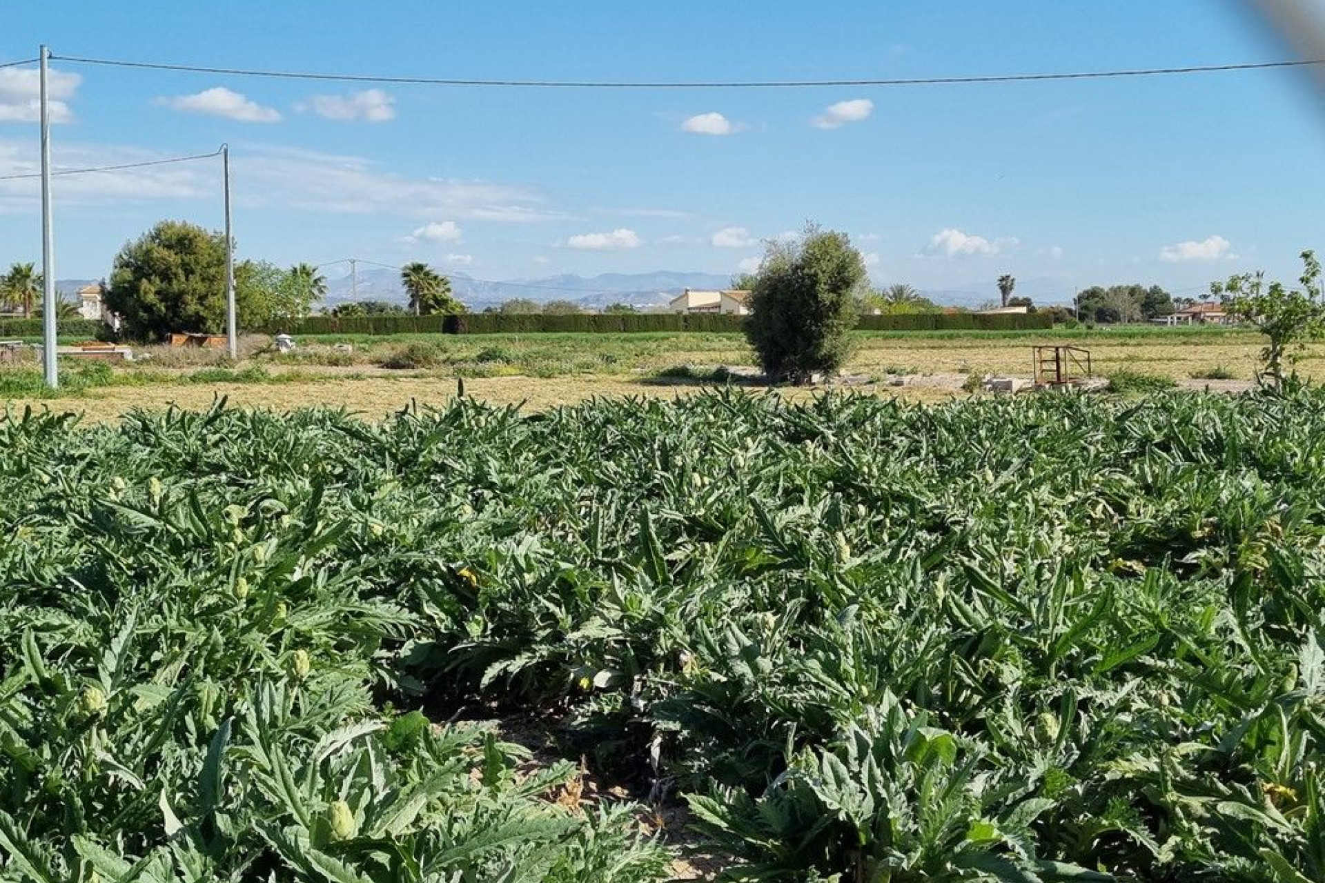 Revente - Country House - Dolores