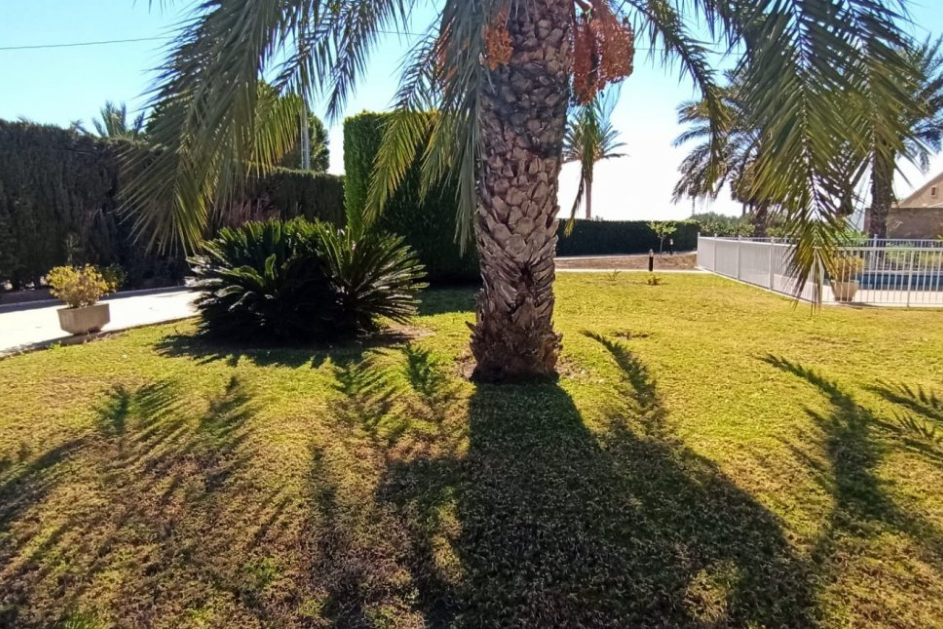 Revente - Country House - Elche