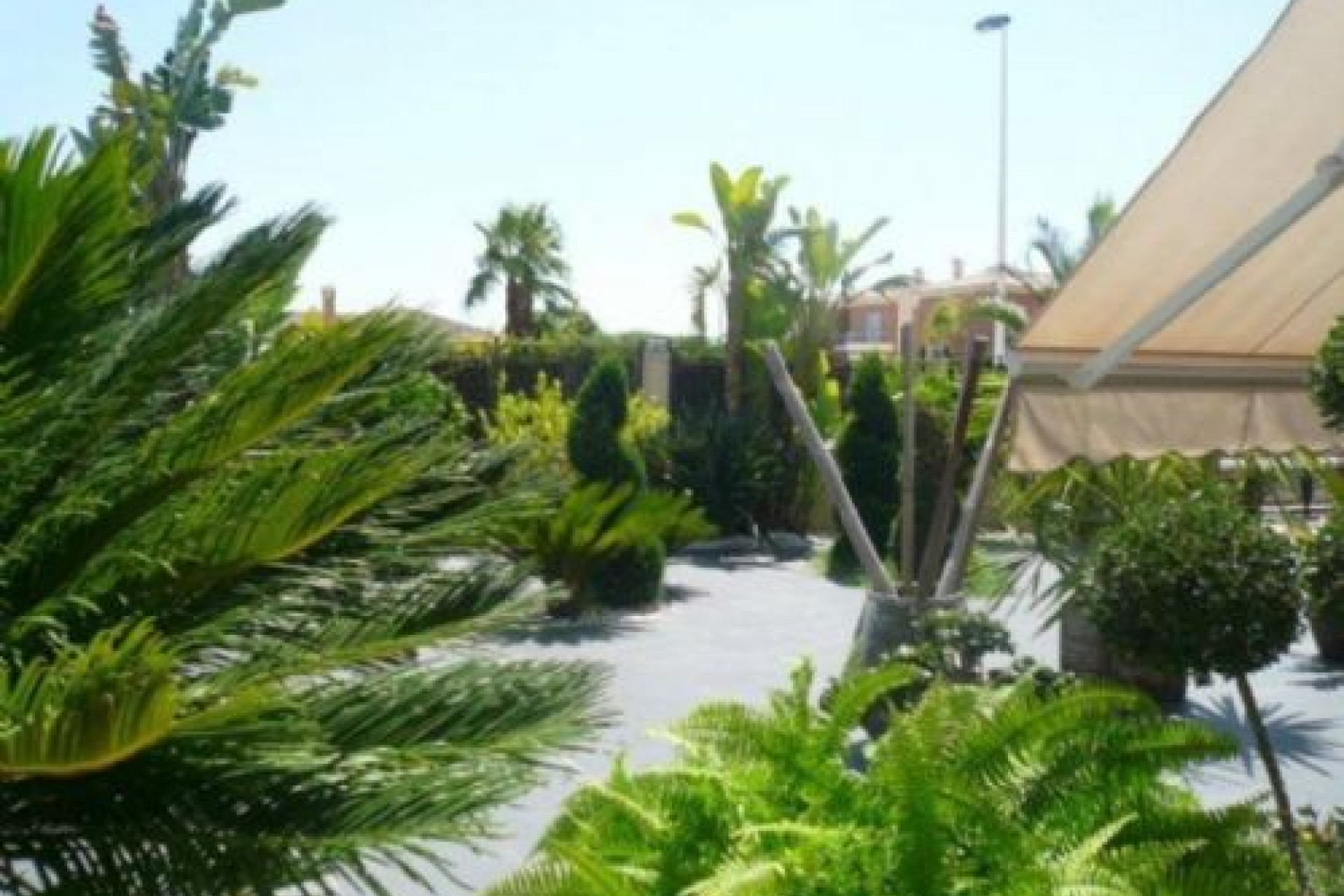 Revente - Country House - Elche