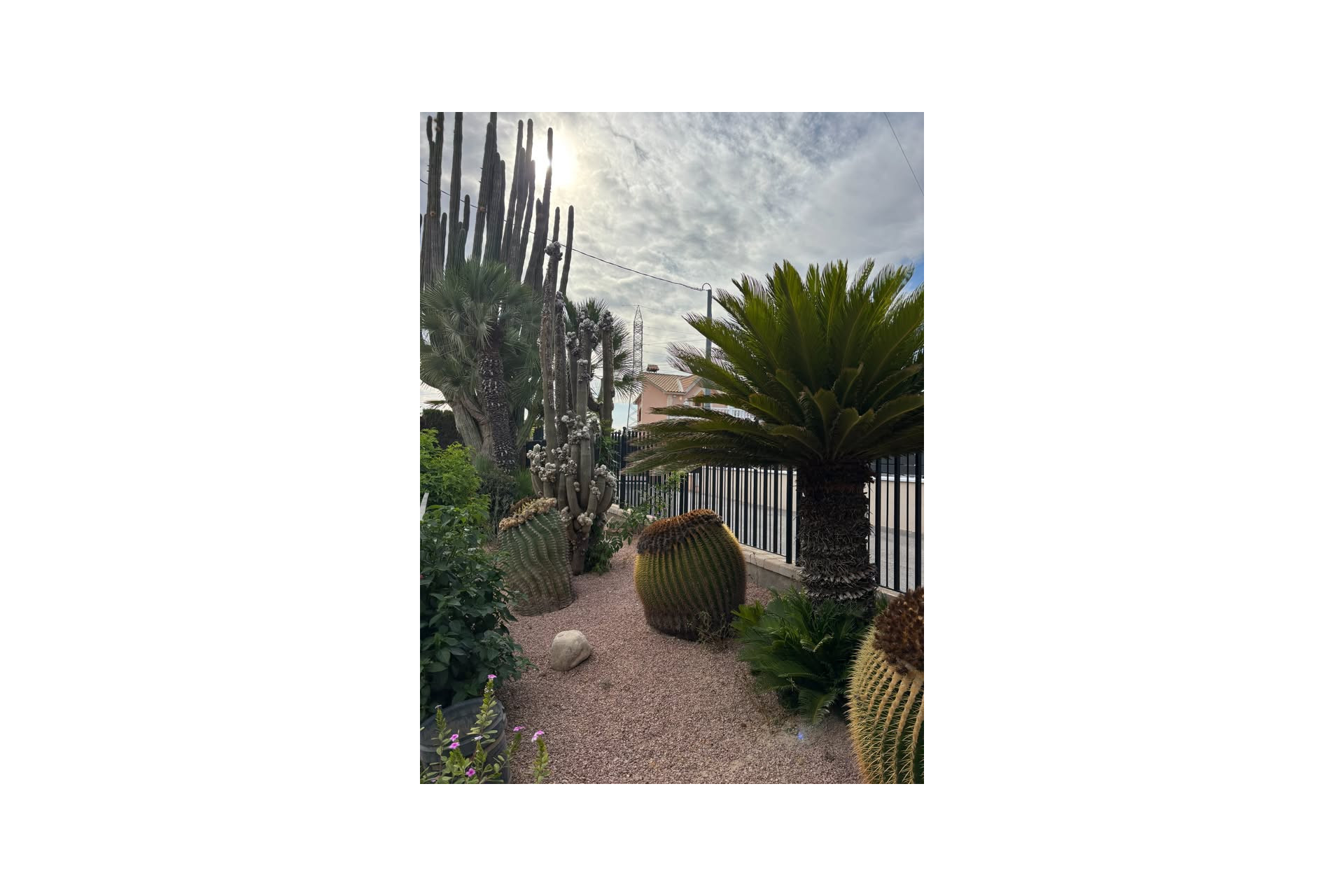 Revente - Country House - Elche