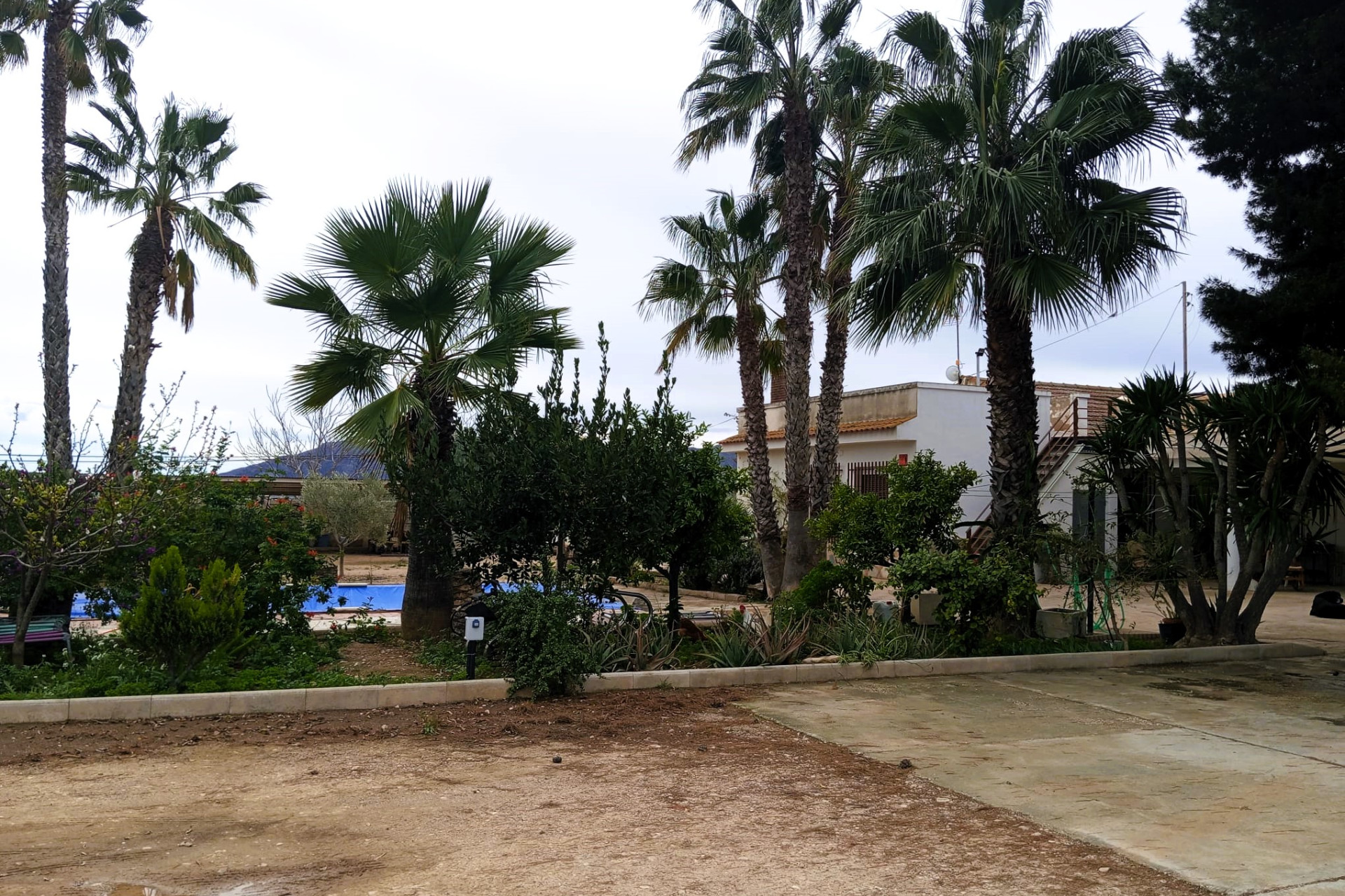 Revente - Country House - La Murada - LA MURADA