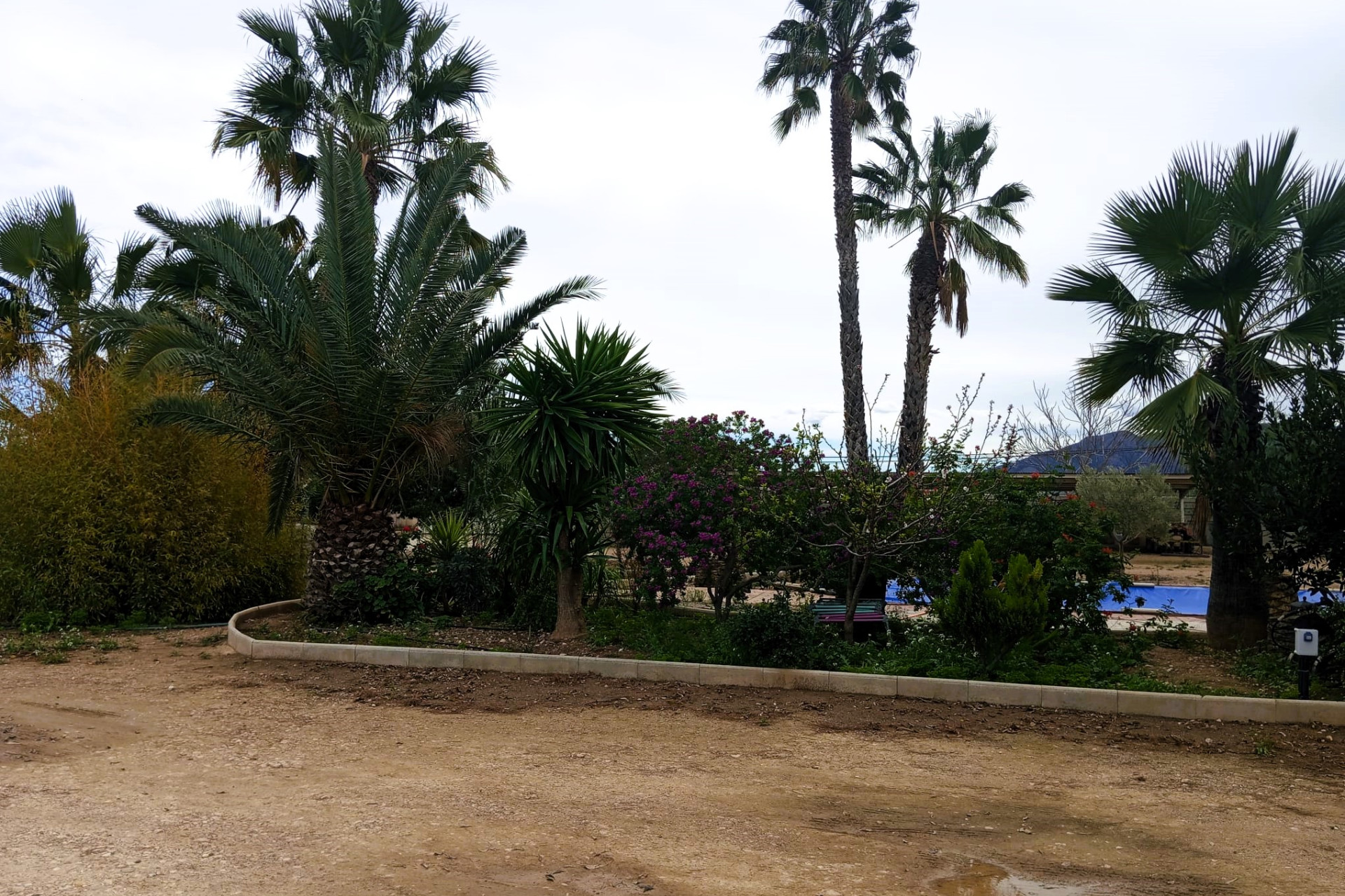 Revente - Country House - La Murada - LA MURADA