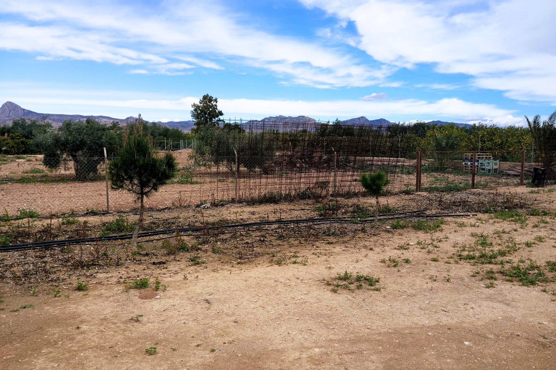 Revente - Country House - La Murada - LA MURADA