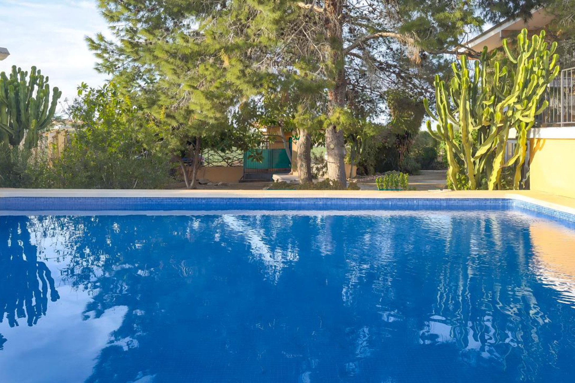 Revente - Country House - Los Montesinos - los montesinos