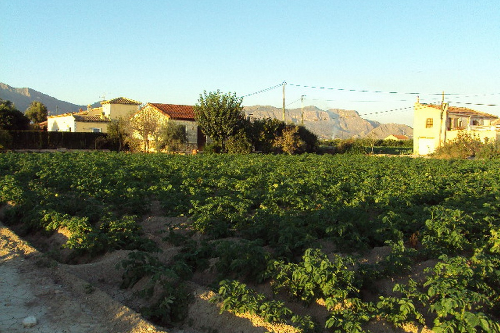 Revente - Country House - Orihuela Costa - Orihuela