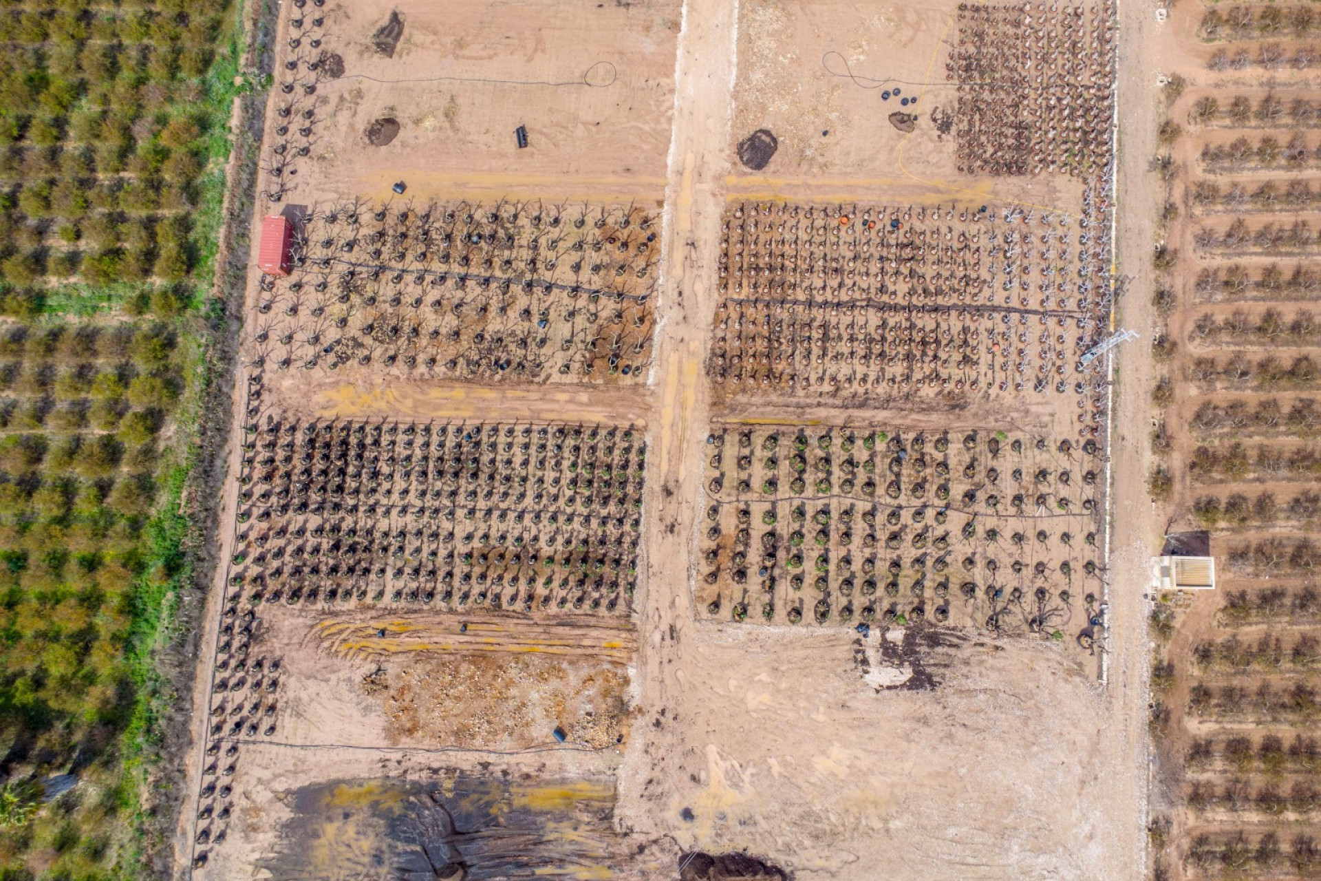 Revente - Country Property - Albatera - Albatera - Country