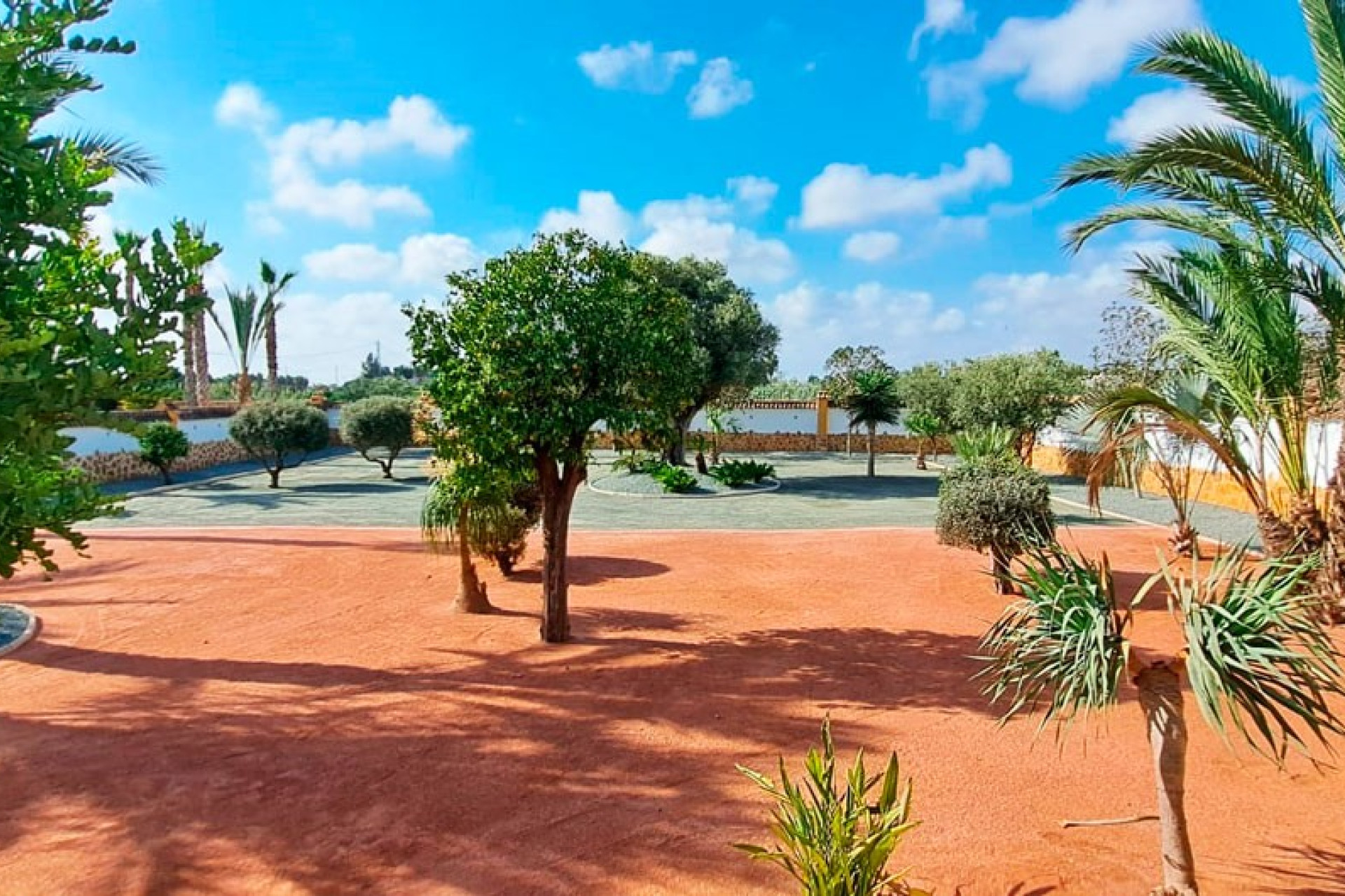 Revente - Country Property - Catral - Catral - Country