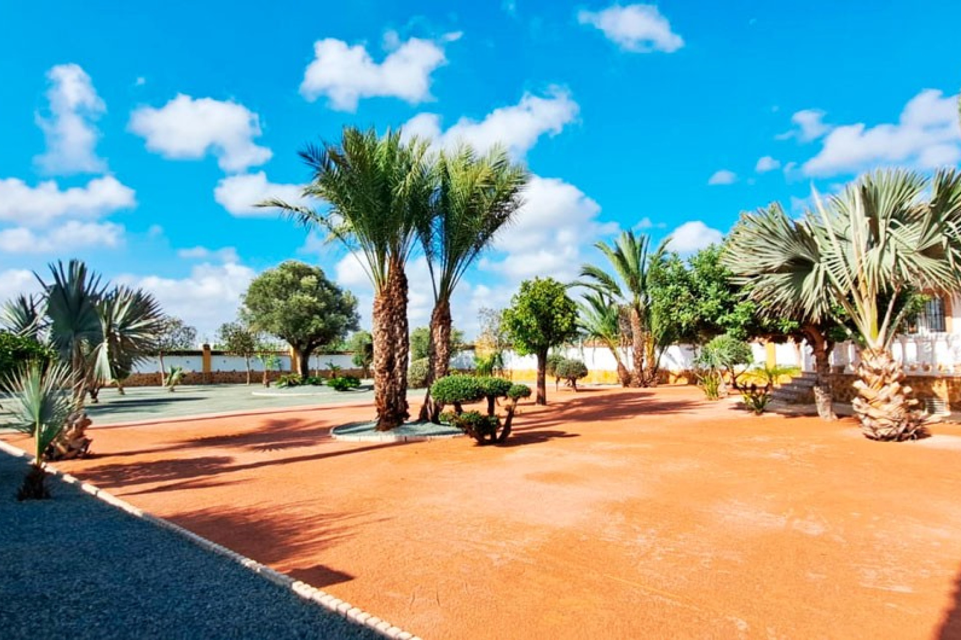 Revente - Country Property - Catral - Catral - Country