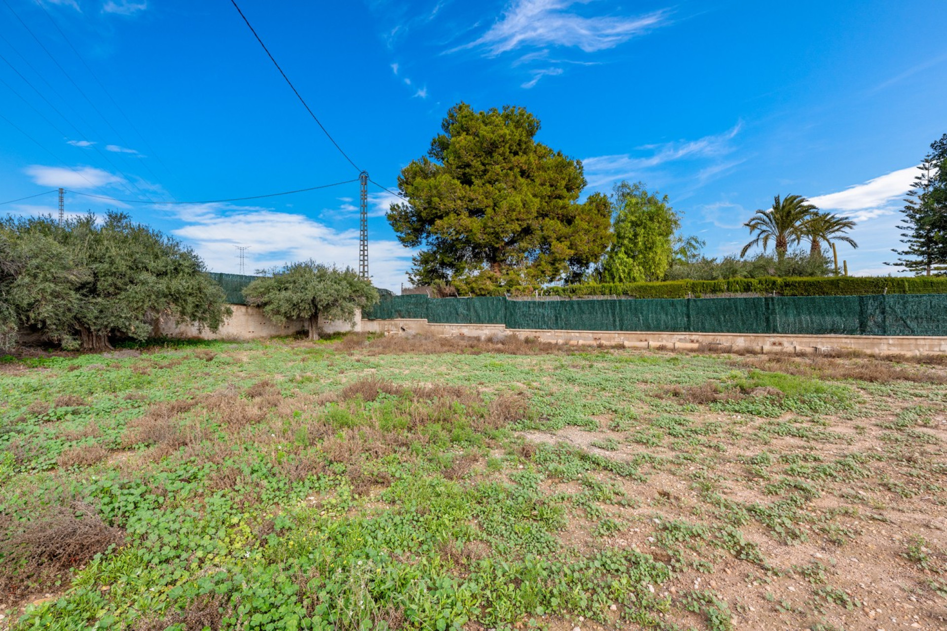 Revente - Country Property - Elche - Elche - Country