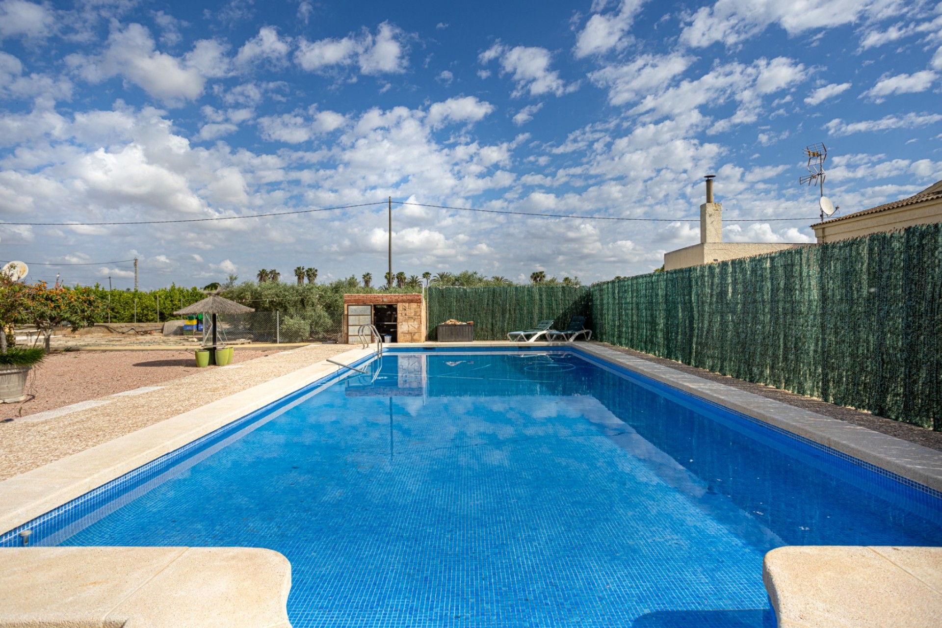 Revente - Country Property - Elche - Elche - La Hoya