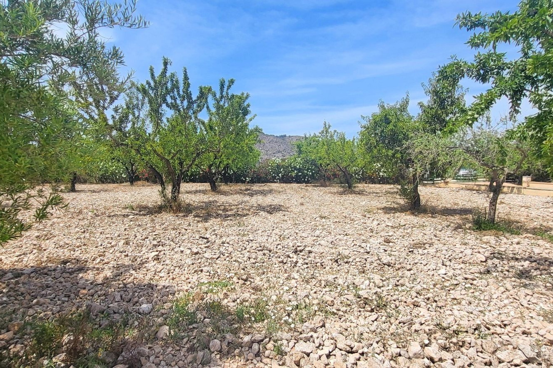 Revente - Country Property - Hondon - Hondon de Las Nieves