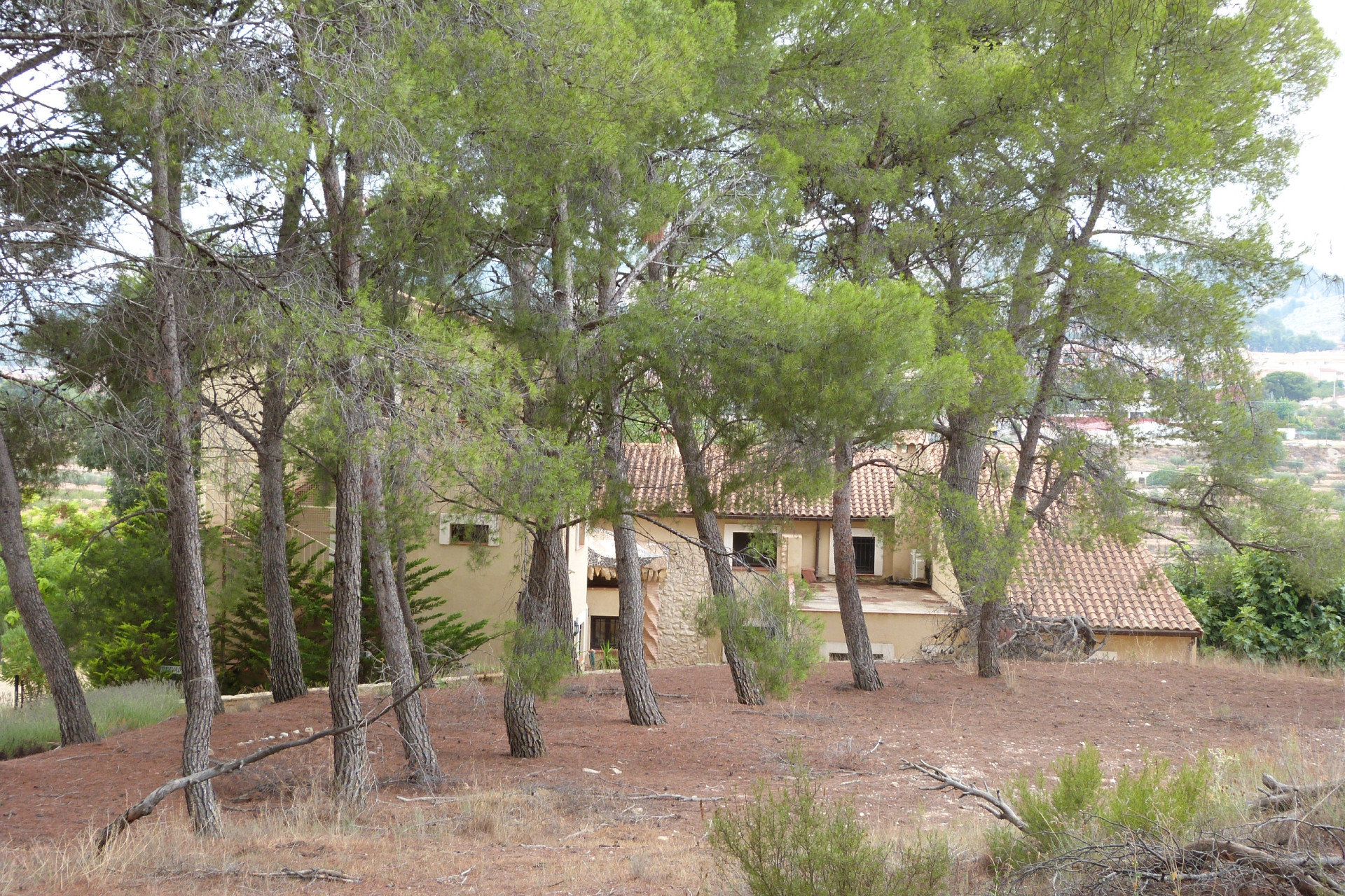 Revente - Country Property - Ibi - Ibi - Country