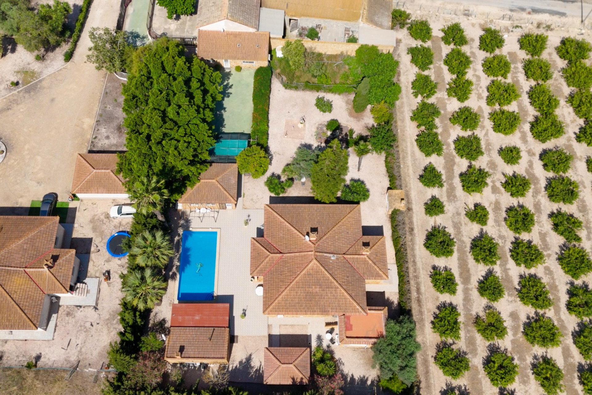 Revente - Country Property - Rojales - Rojales - Country
