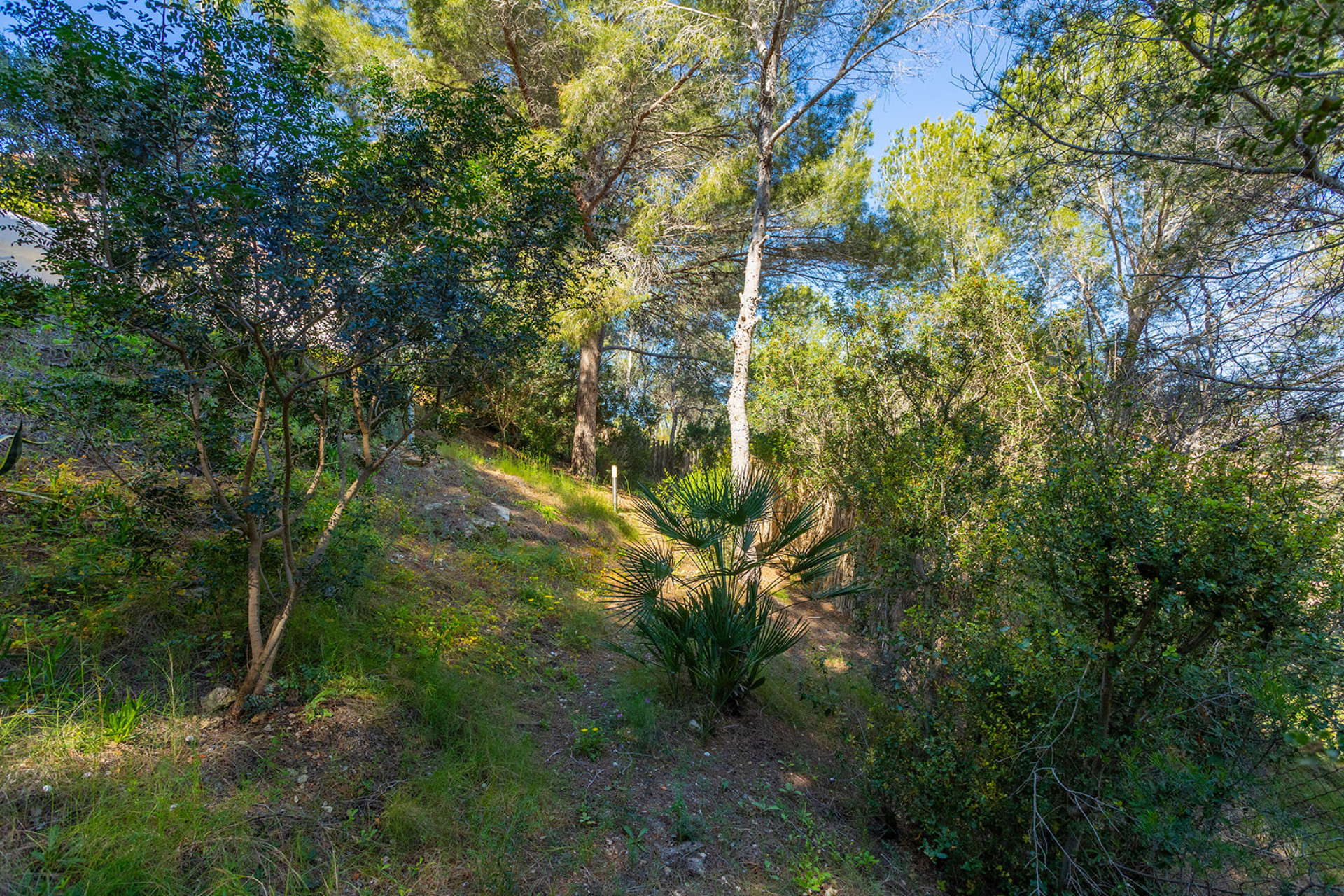 Revente - Detached Villa - Orihuela Costa - Villamartin