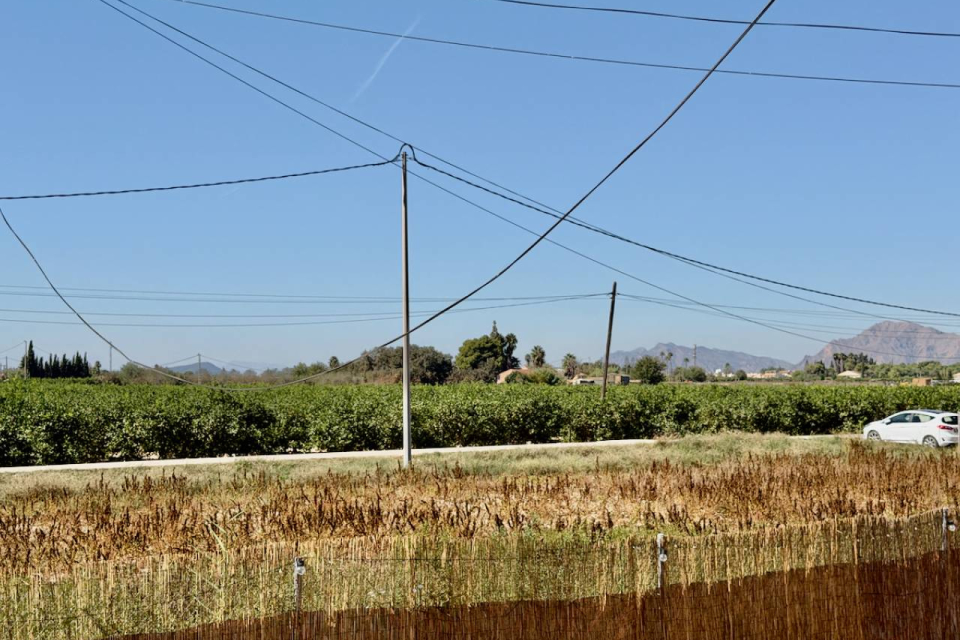 Revente - Finca / Country Property - Dolores