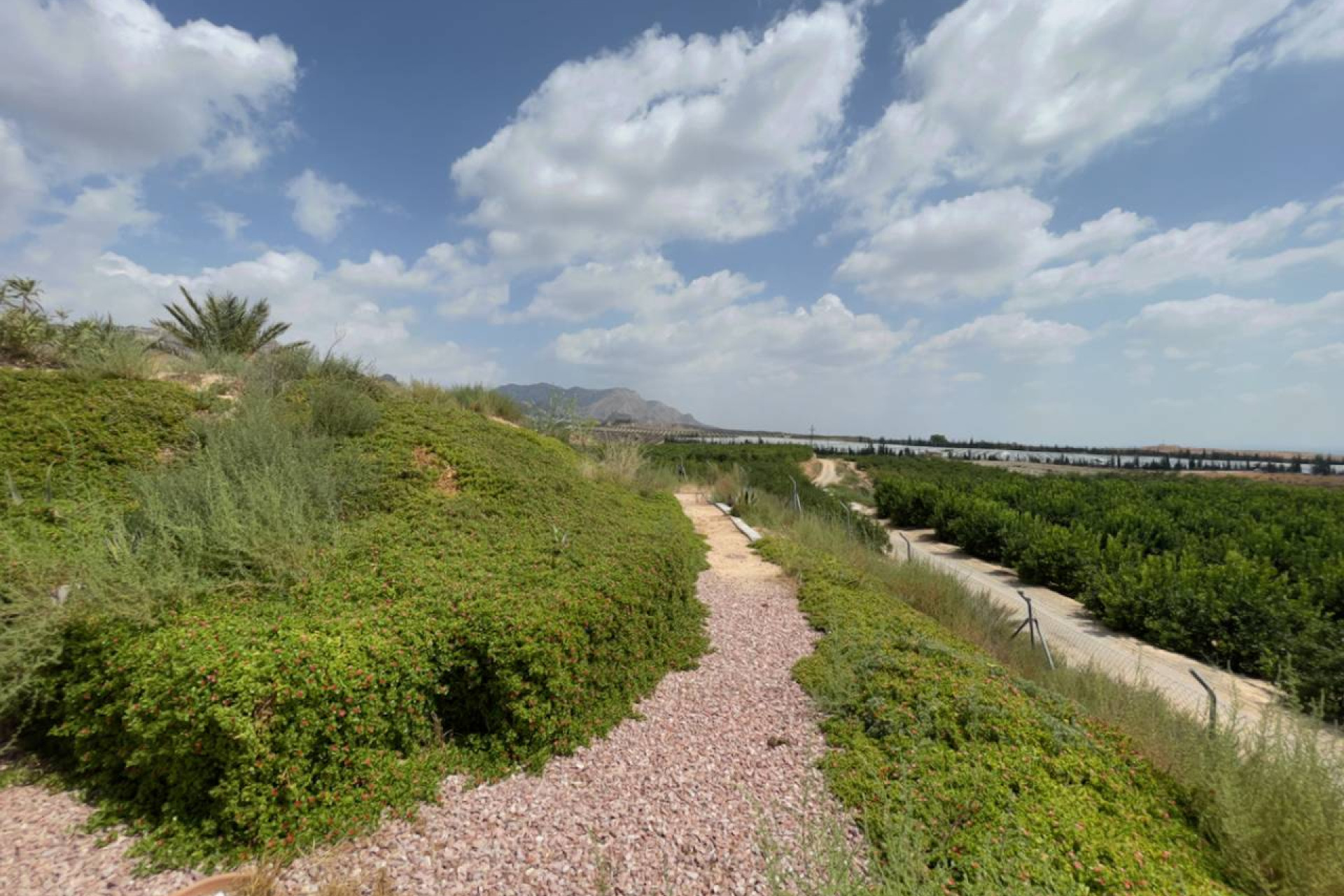 Revente - Finca / Country Property - Orihuela Costa - Orihuela