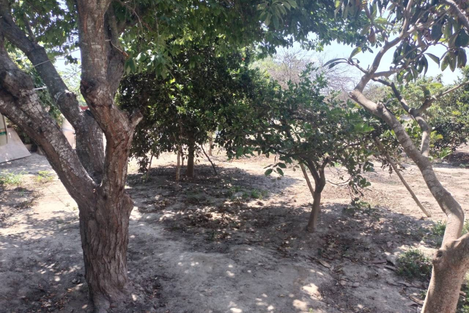 Revente - Finca / Country Property - Rojales - Cuidad Quesada