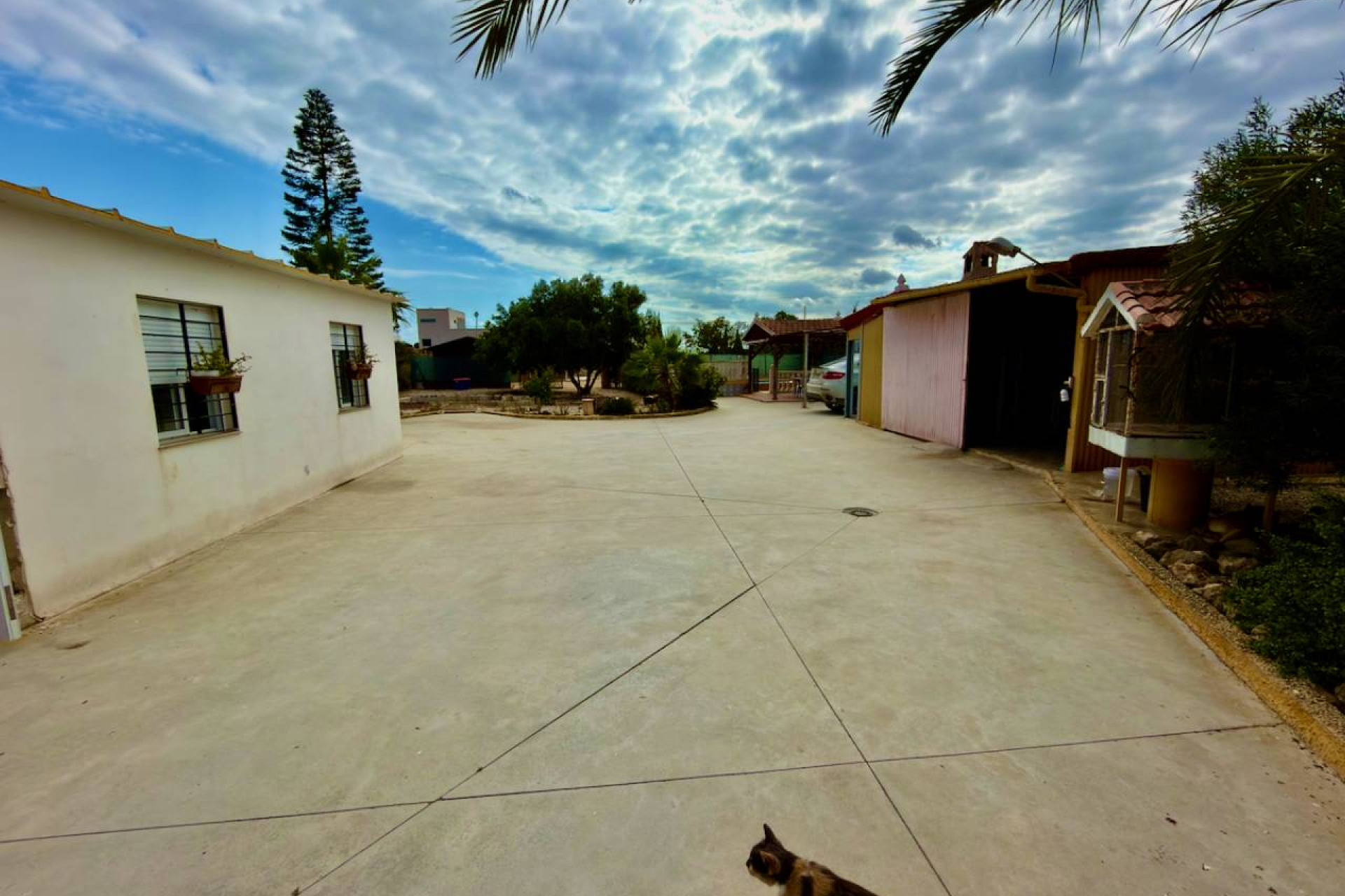 Revente - Finca / Country Property - San Fulgencio - La Marina