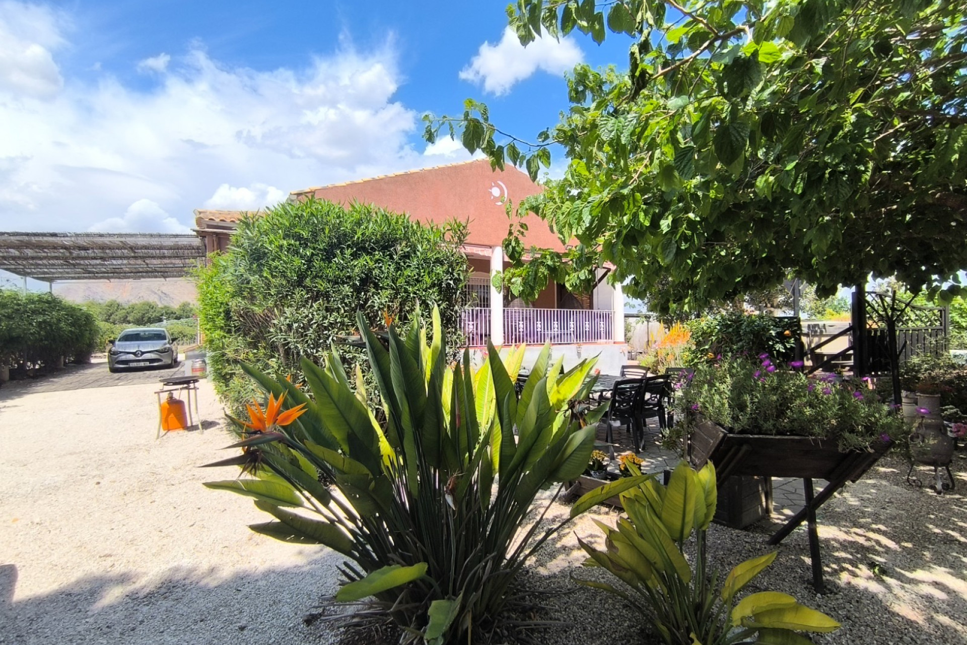 Revente - finca - Orihuela Costa - Orihuela