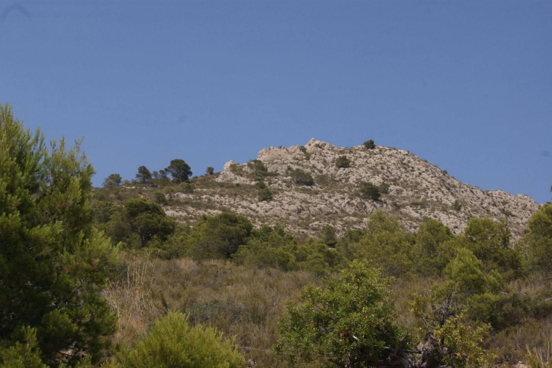 Revente - Finca rústica - Finestrat - Finestrat pueblo