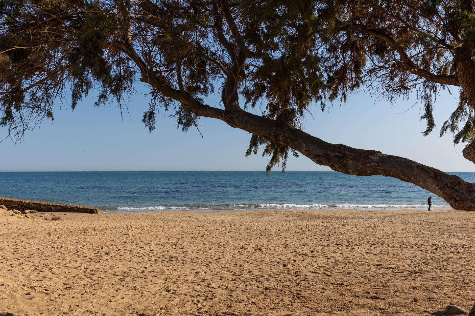 Revente - Flat - Torrevieja - La Mata pueblo