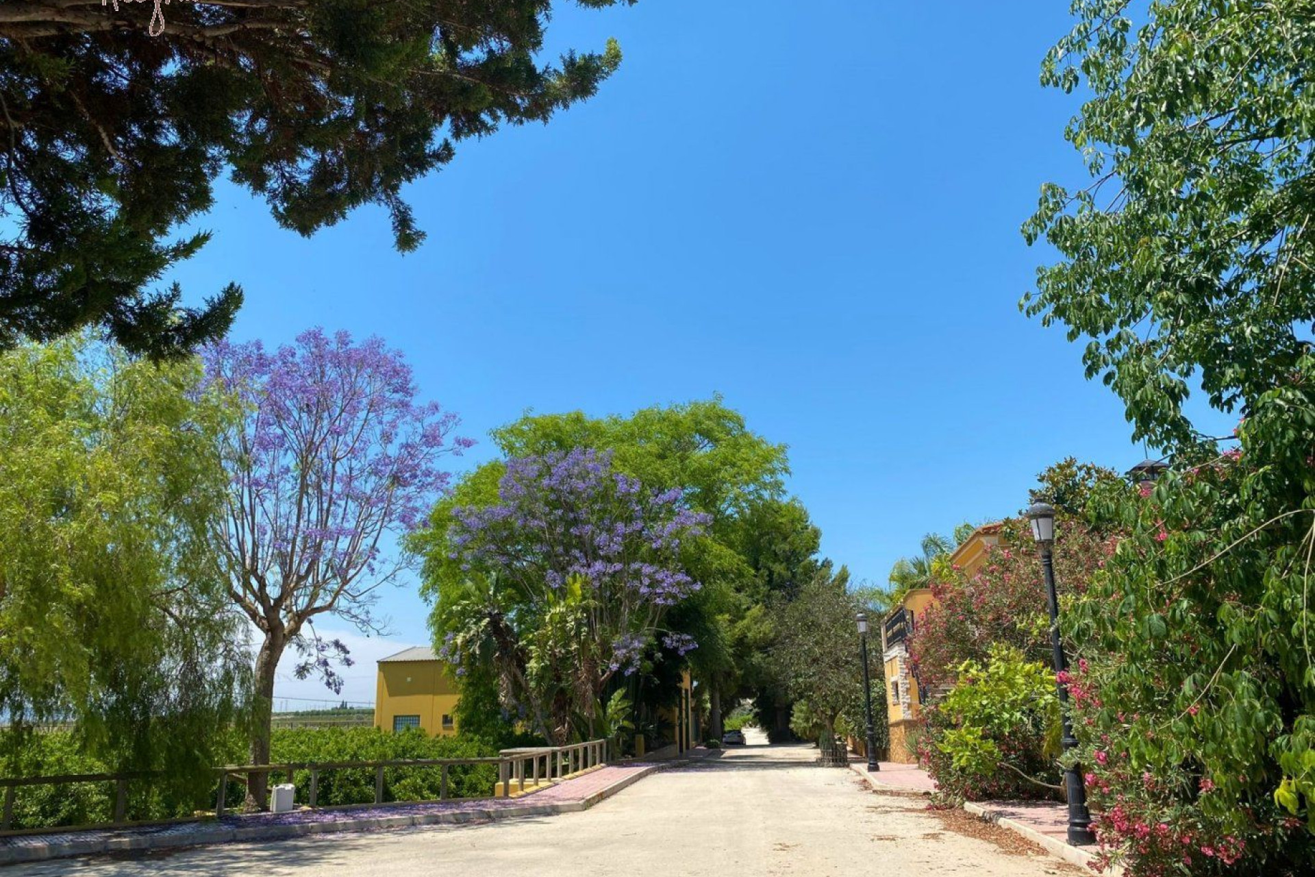 Revente - Hacienda - Orihuela Costa - La Murada