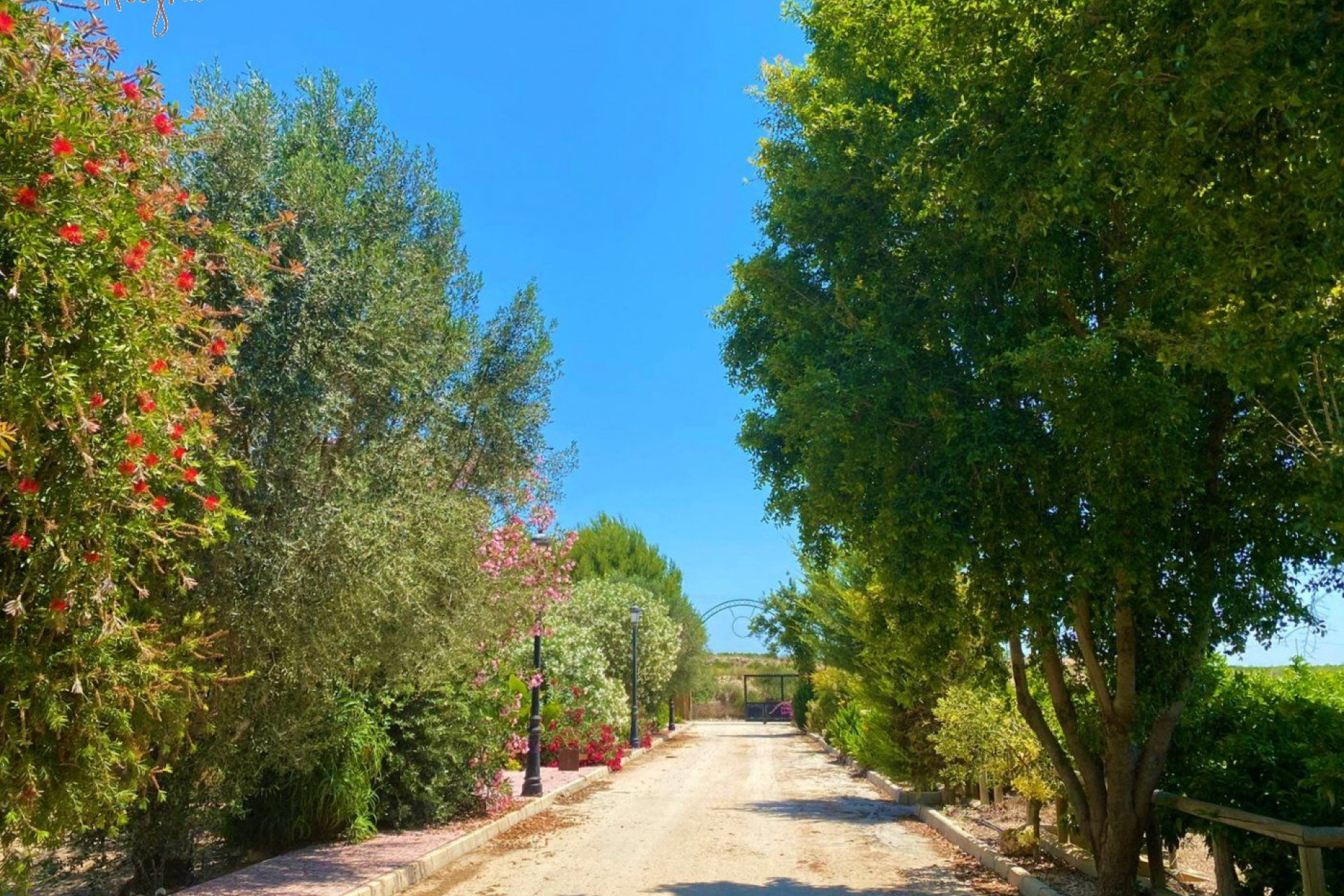 Revente - Hacienda - Orihuela Costa - La Murada