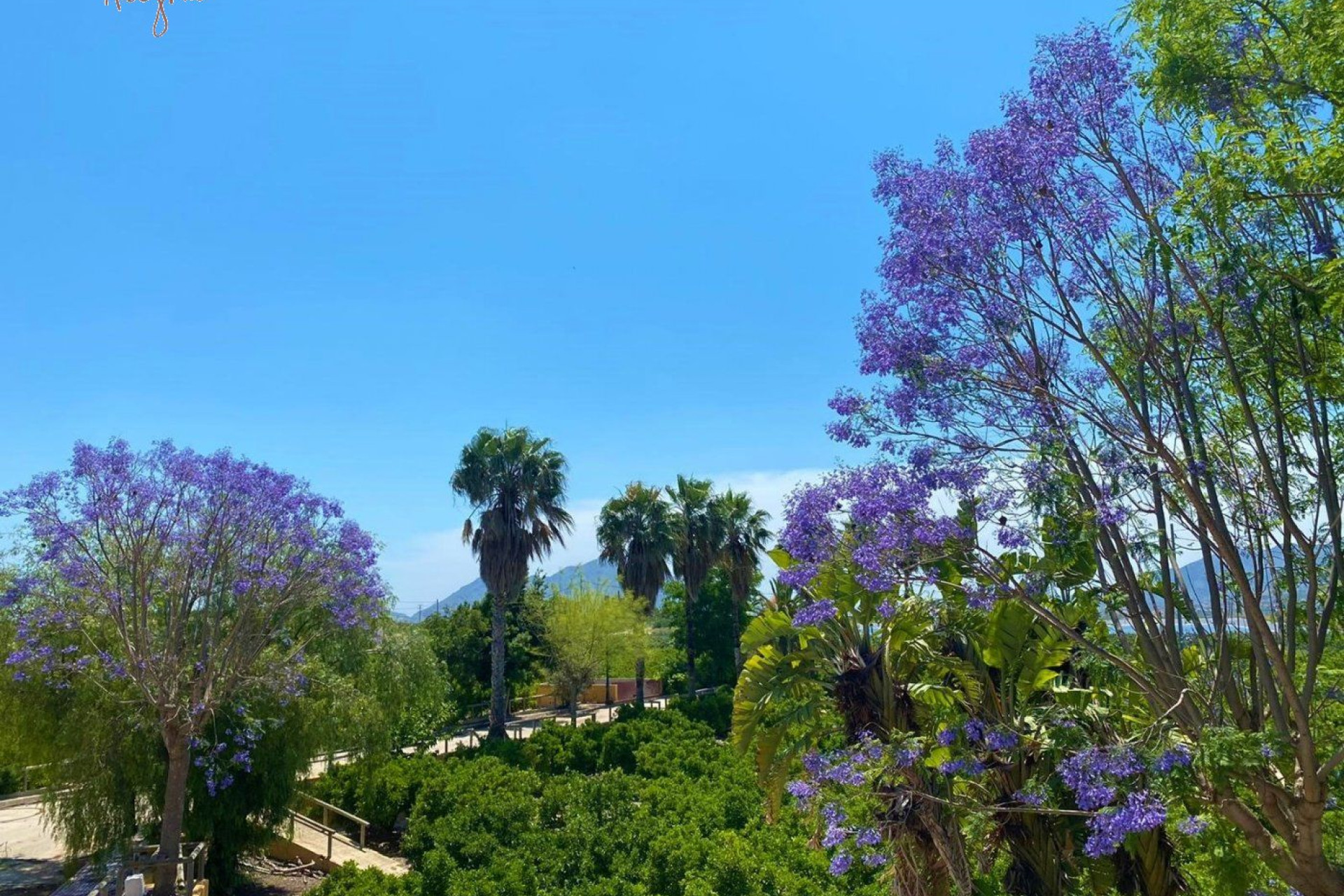 Revente - Hacienda - Orihuela Costa - La Murada