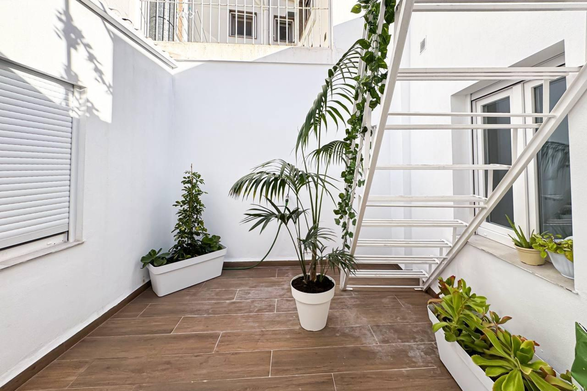 Revente - Hotel - Torrevieja - Centro