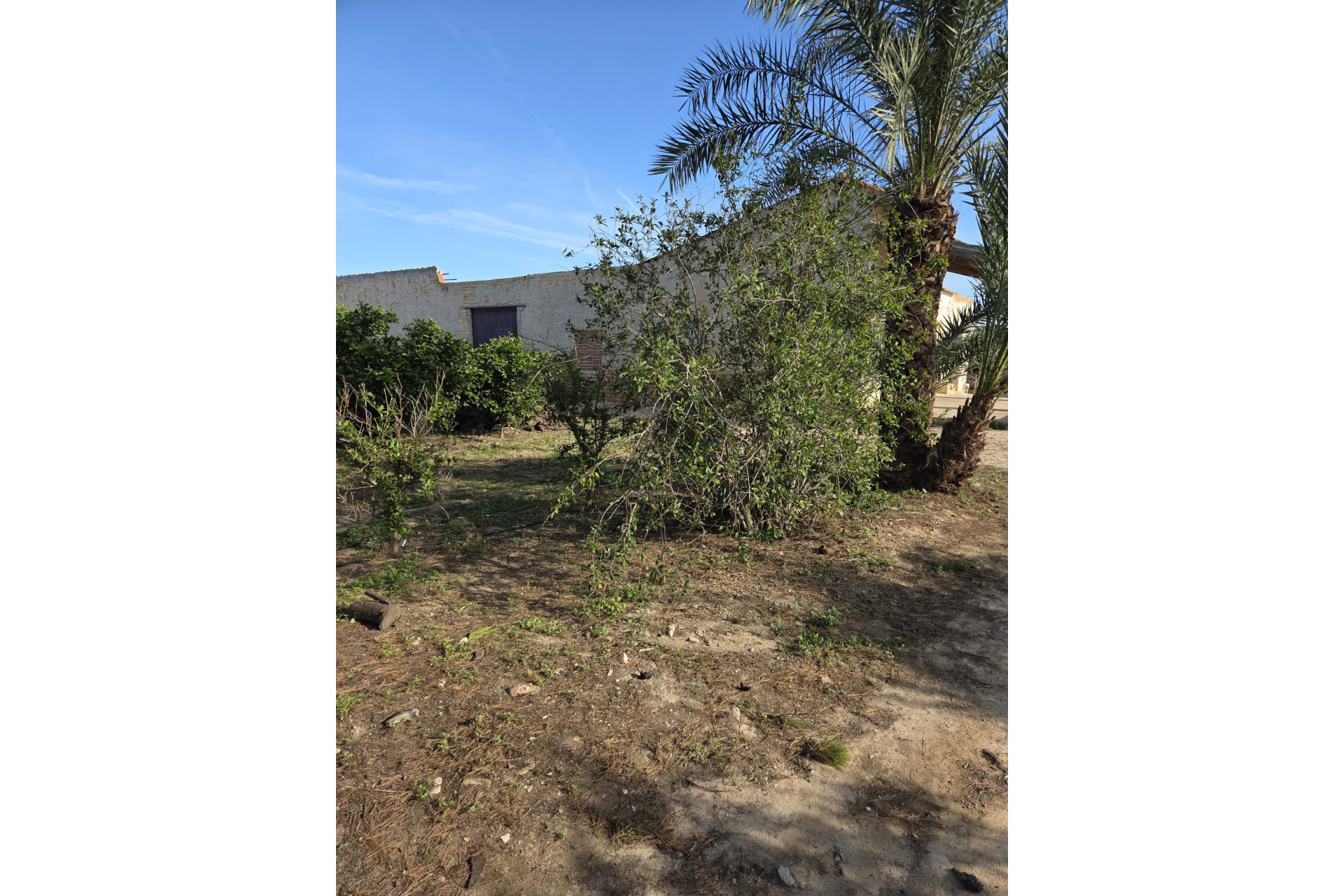 Revente - House - ALBATERA - Albatera