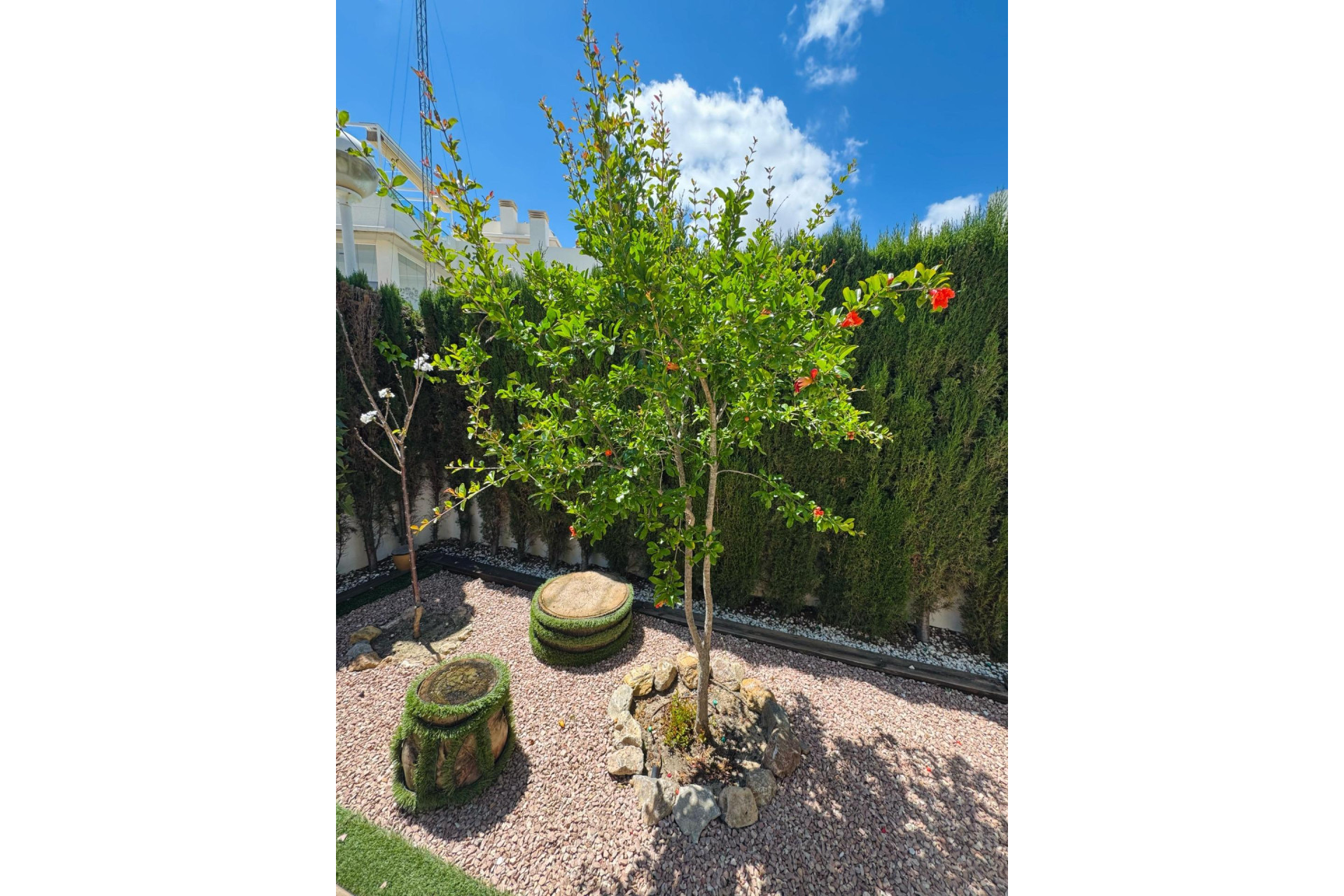 Revente - House - Benijofar - Costa blanca sur