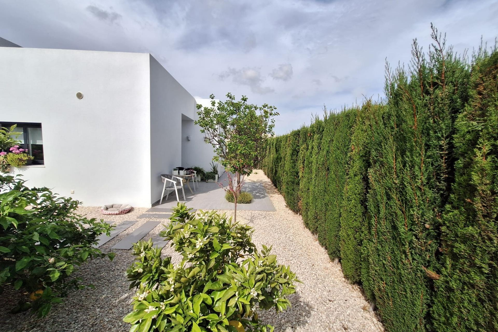 Revente - House - Benijofar - Pueblo 4