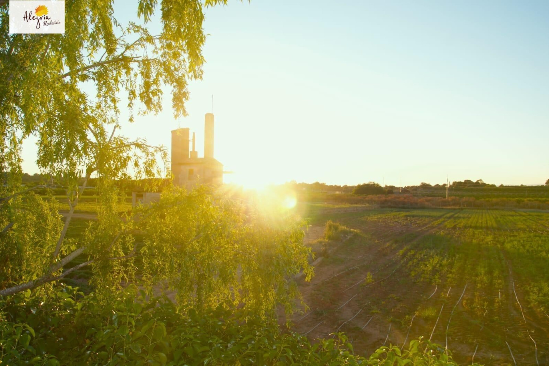 Revente - House - Betera - La Conarda-Montesano
