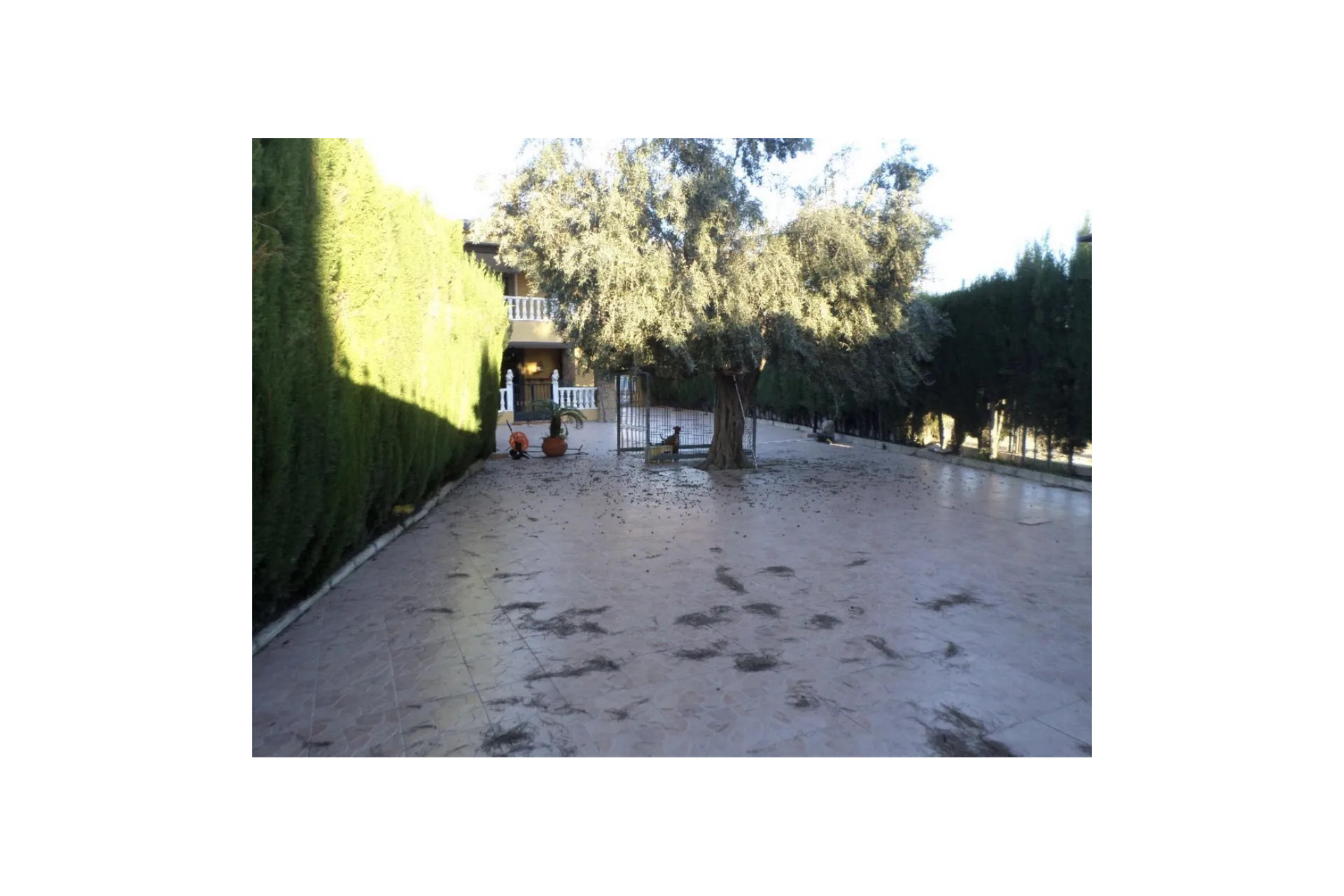 Revente - House - Orihuela Costa - CAMPO