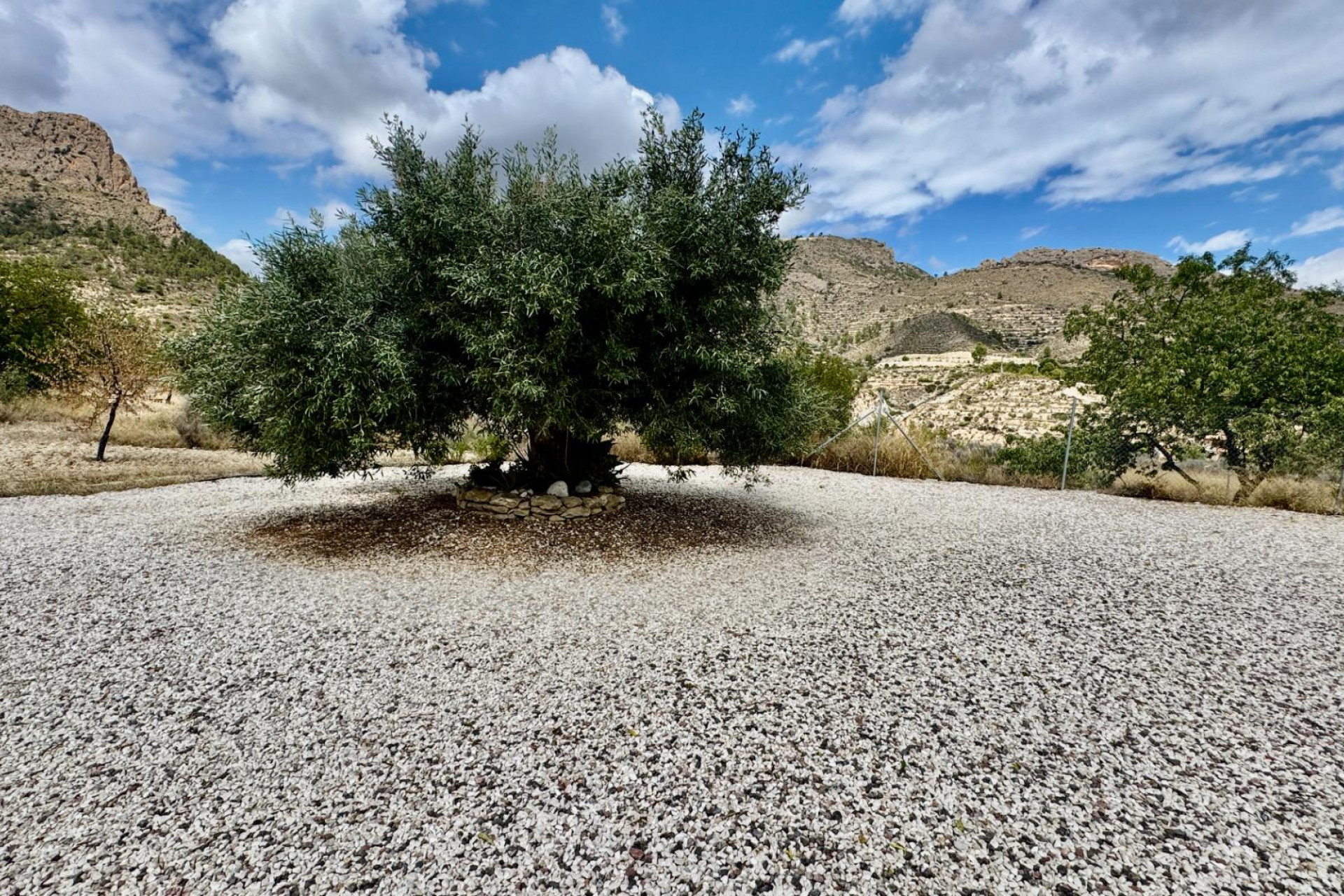 Revente - House - Relleu