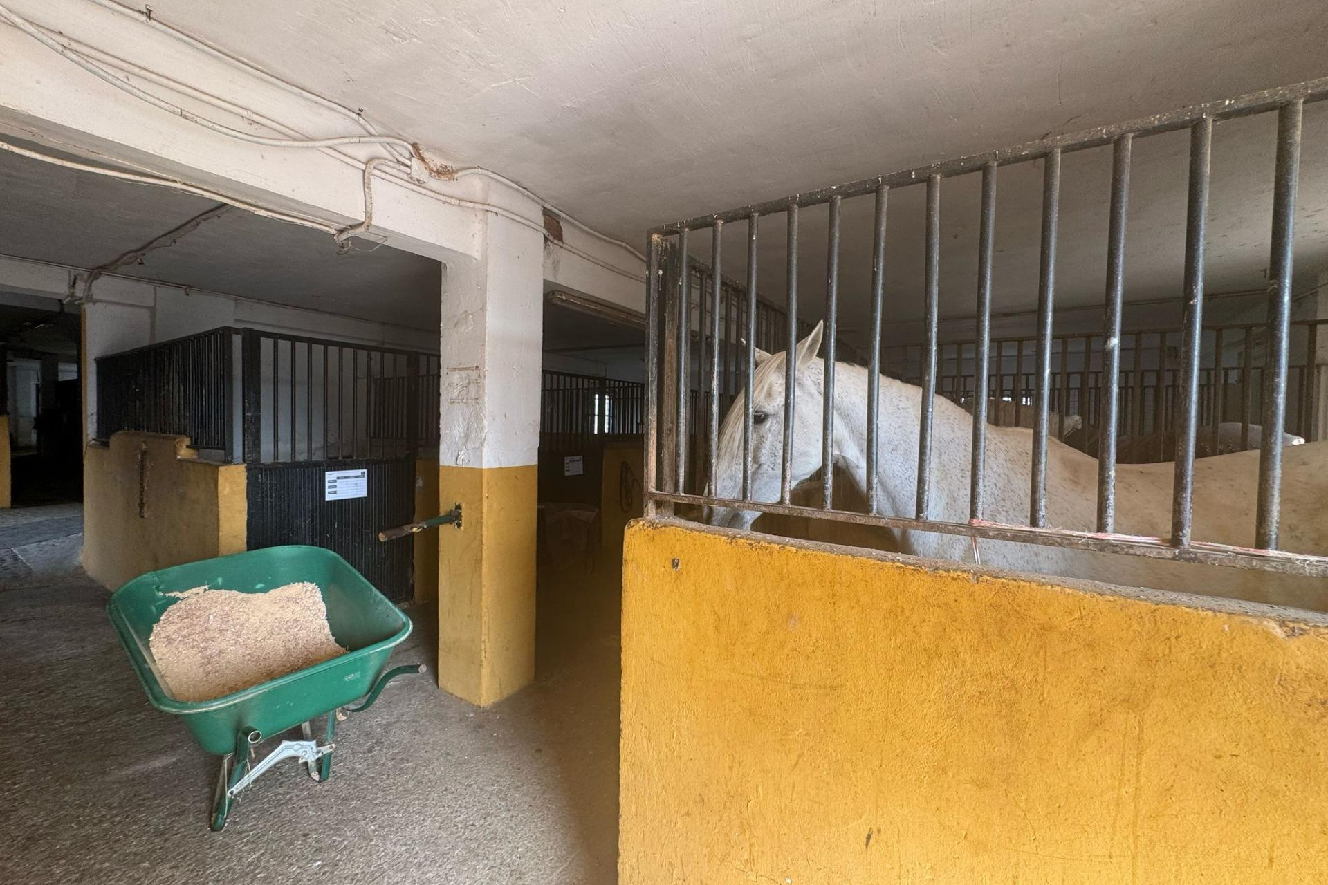 Revente - House - Riba - Roja de Turia - Comunidad valenciana