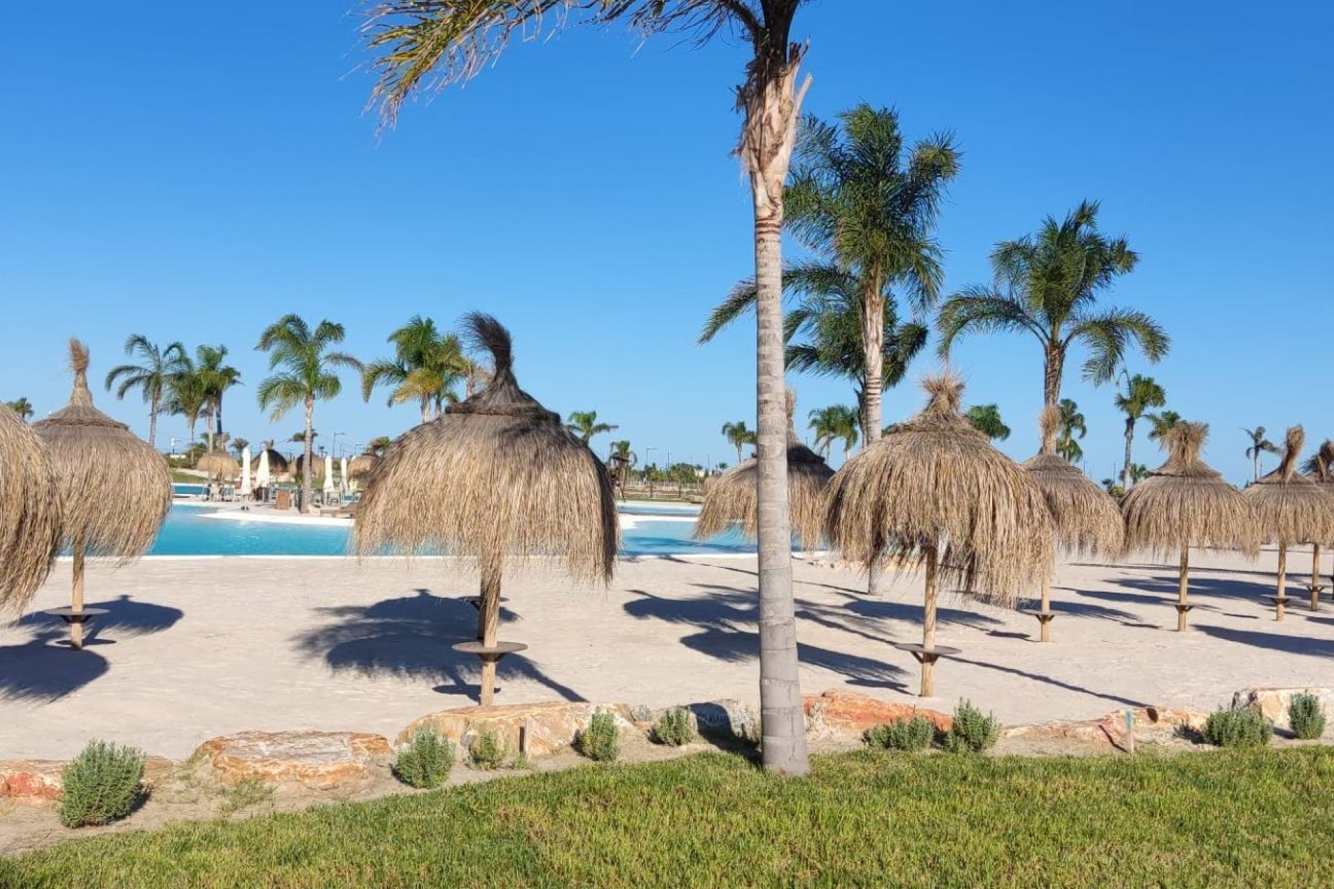 Revente - House - Torrevieja - Los Frutales