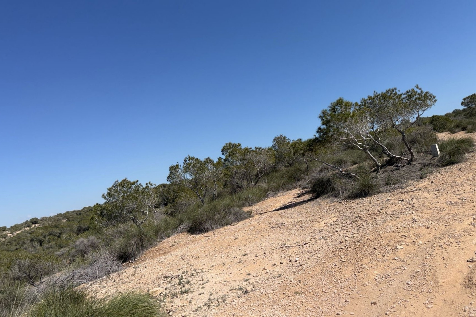 Revente - Land and Plots - San Fulgencio - La Marina