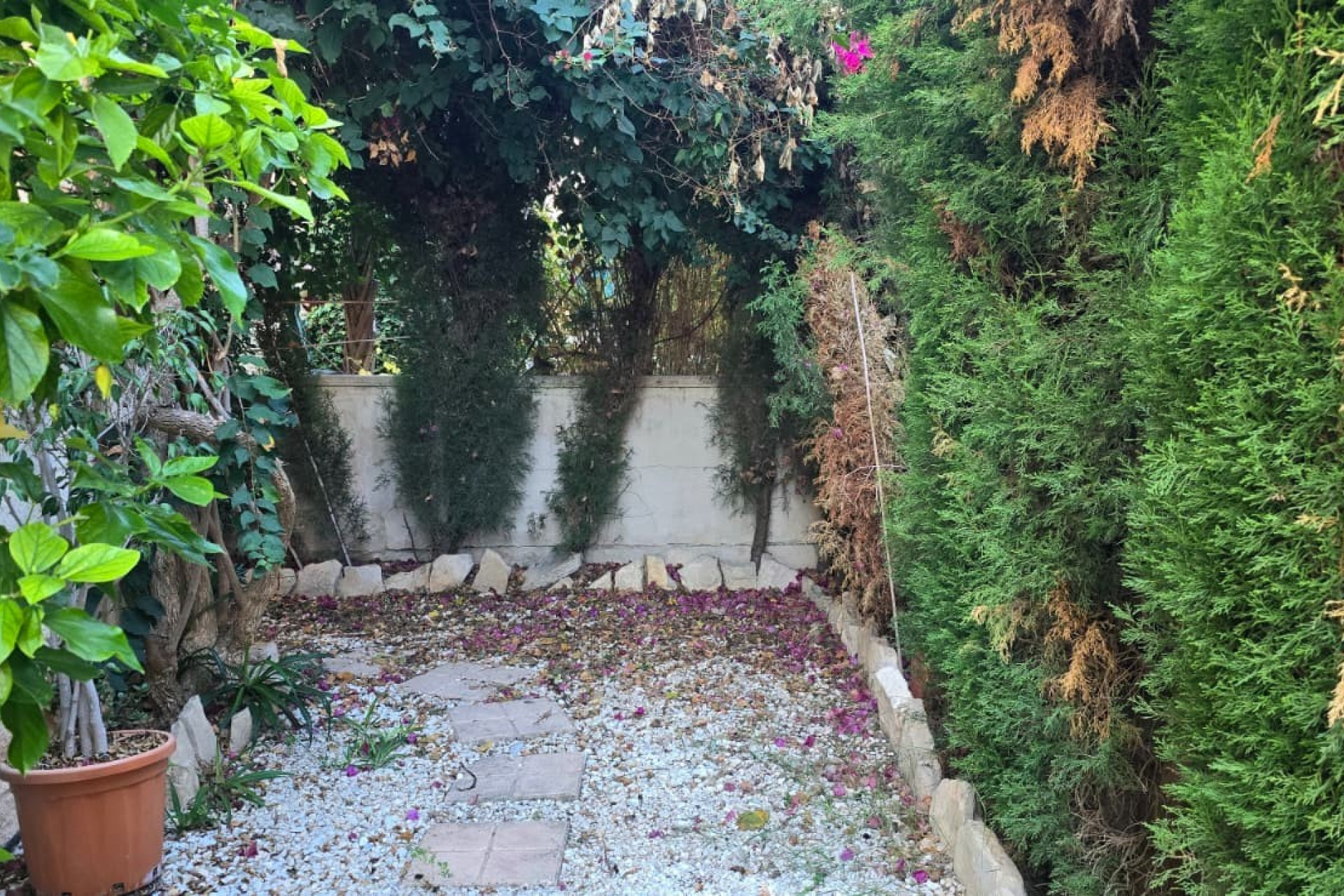Revente - Maison de ville - Albir - center