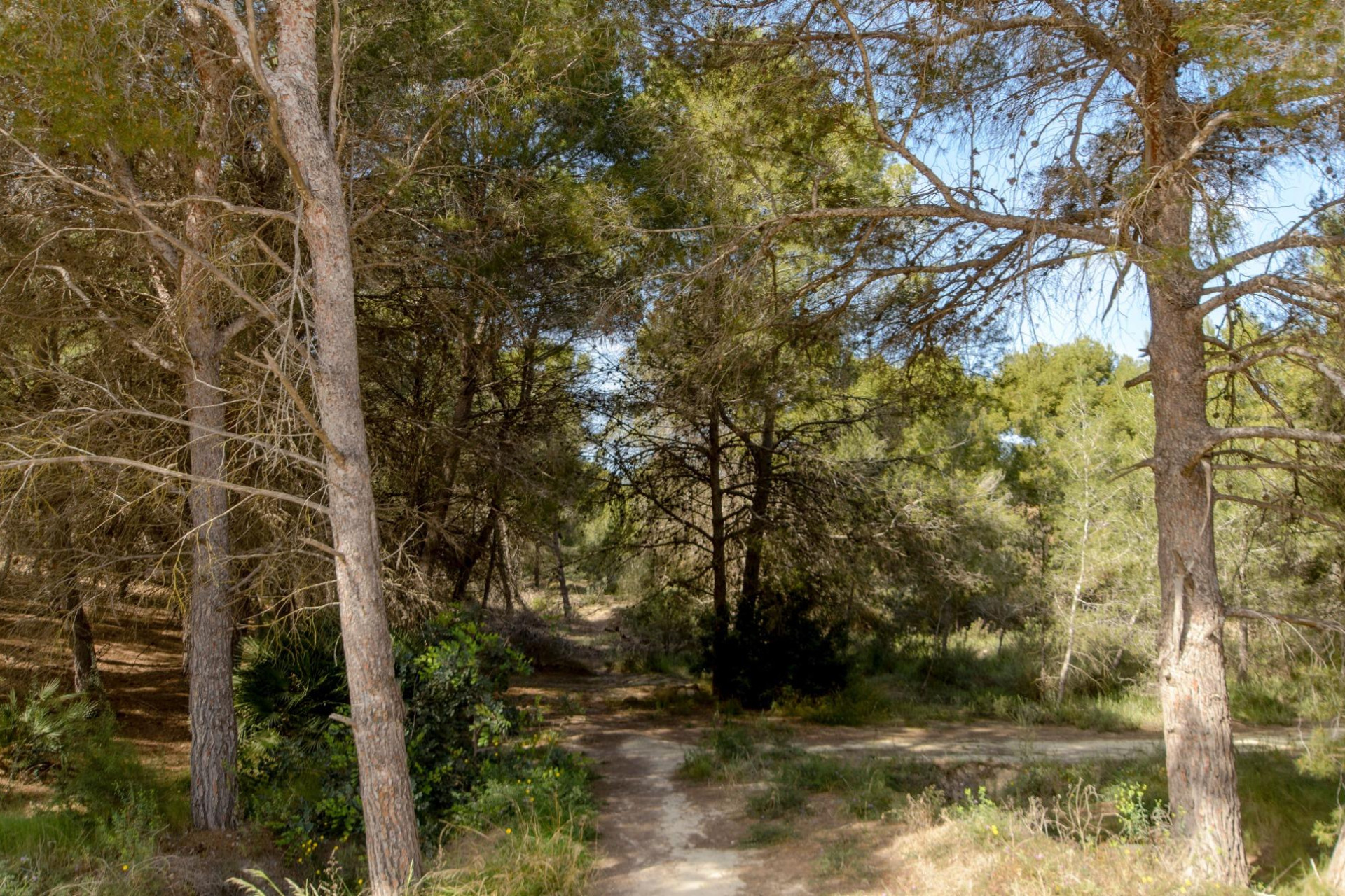 Revente - Maison de ville - San Miguel de Salinas - Las Comunicaciones