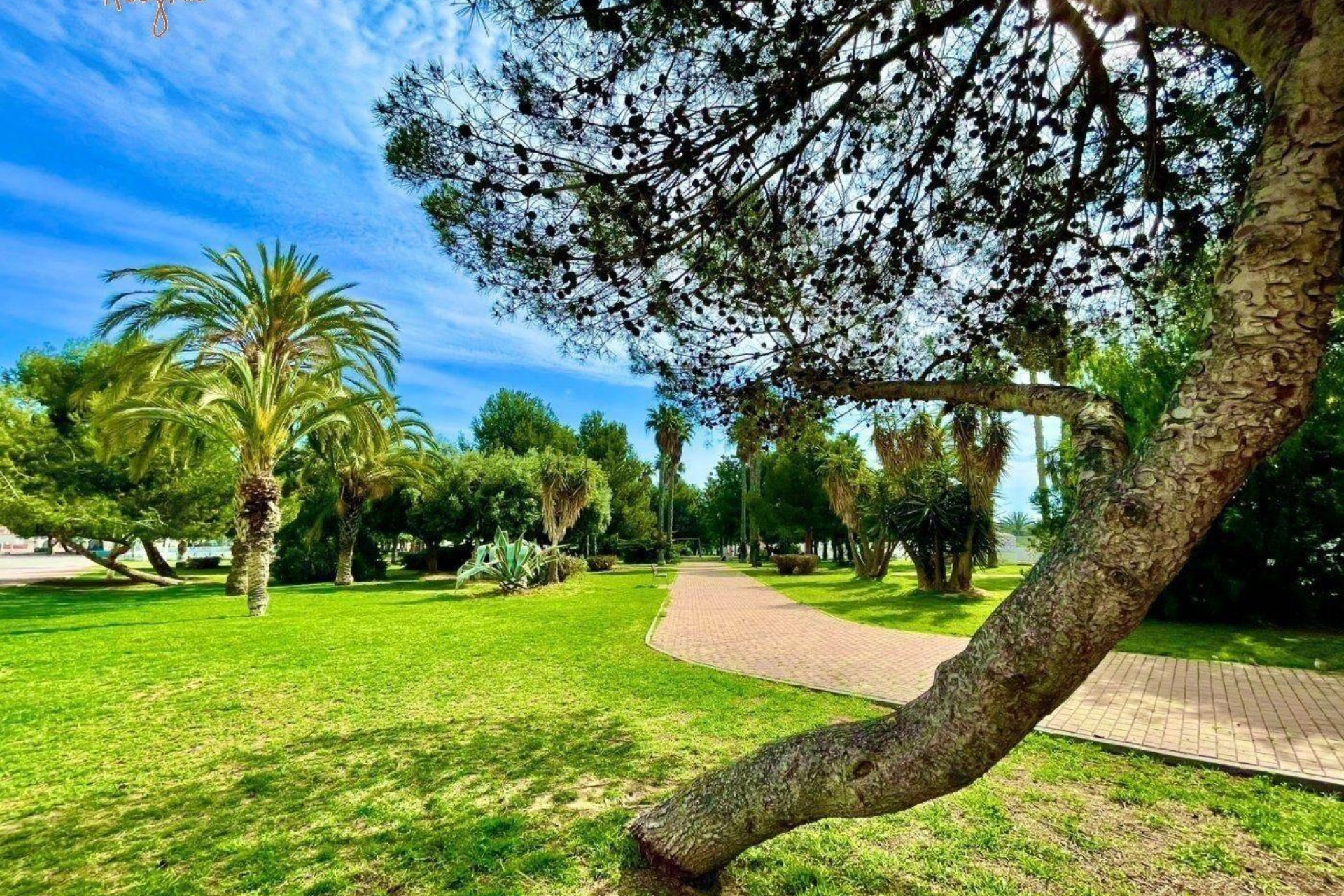 Revente - Maison de ville - Torrevieja - Calas blanca