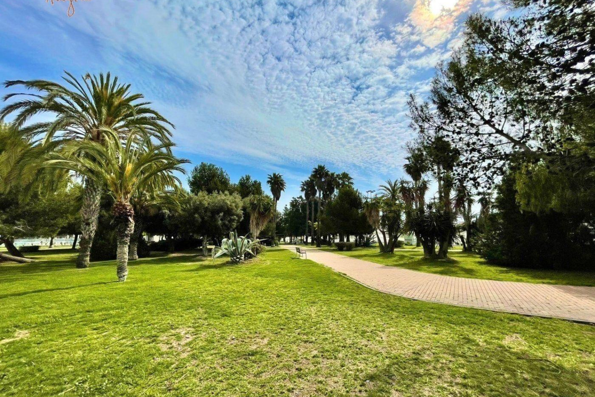 Revente - Maison de ville - Torrevieja - Calas blanca