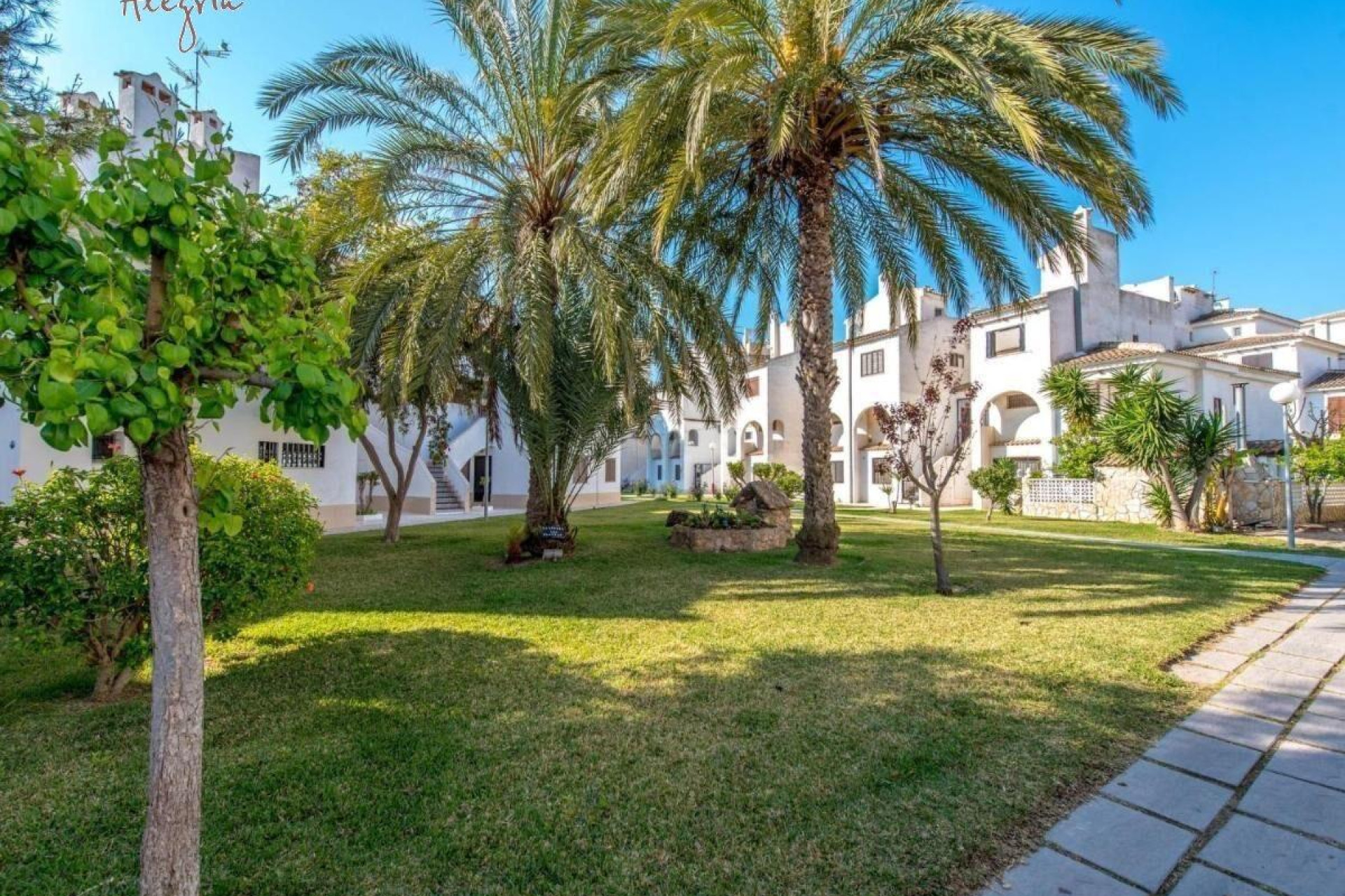 Revente - Maison de ville - Torrevieja - Calas blanca