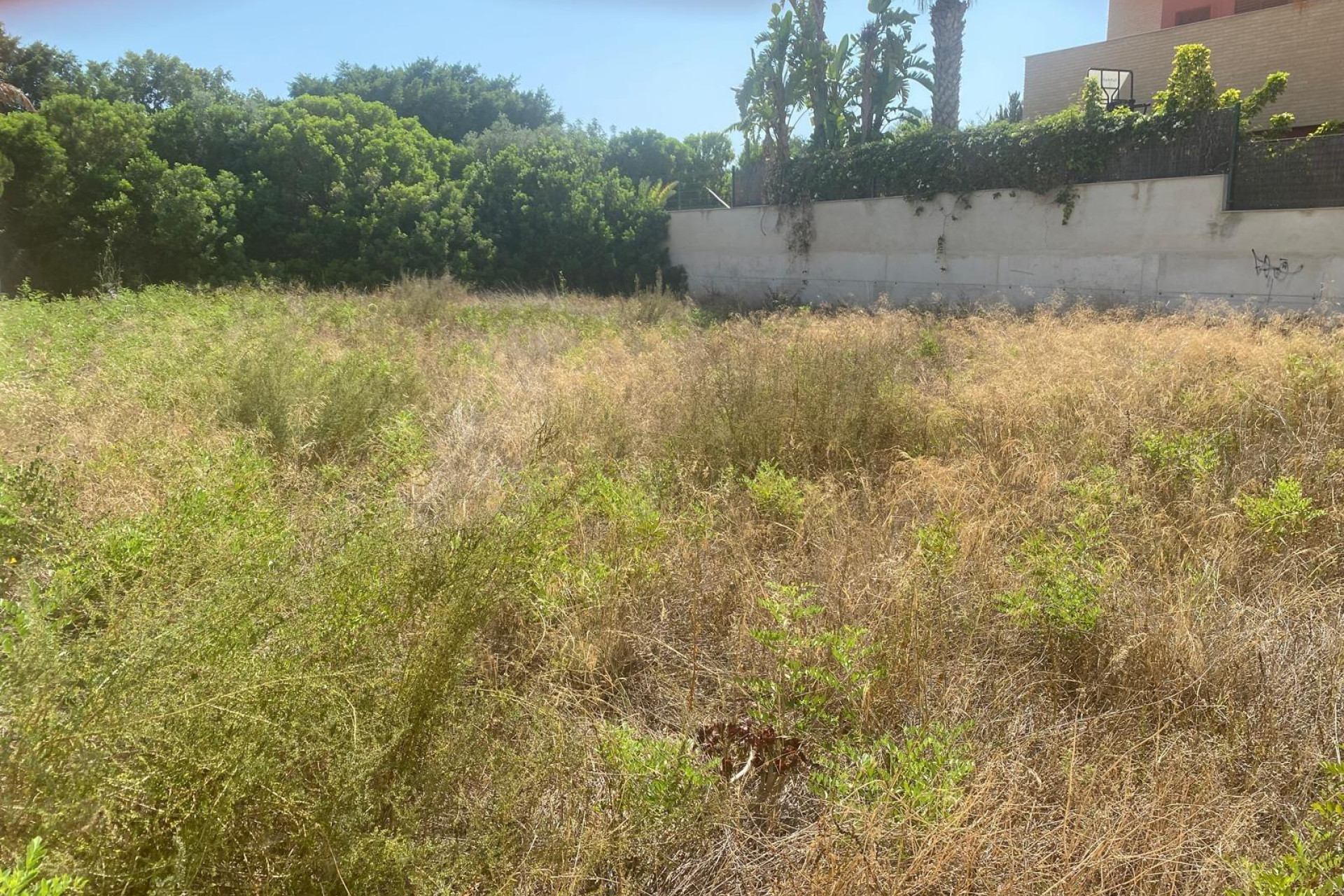 Revente - Parcelle / Terrain - Alicante - Alicante Golf