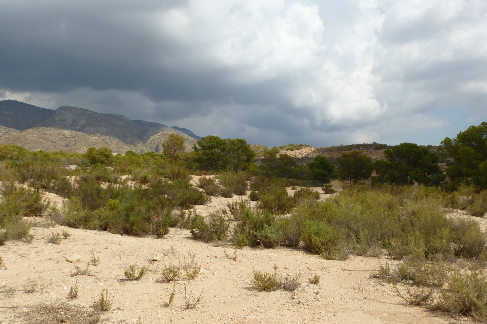 Revente - Parcelle / Terrain - Crevillente - Crevillente - Country