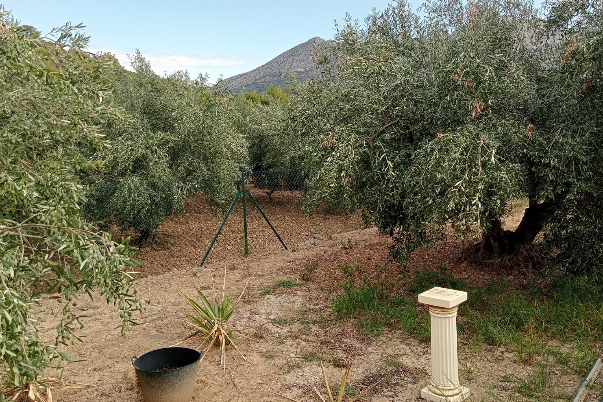Revente - Parcelle / Terrain - La Nucía