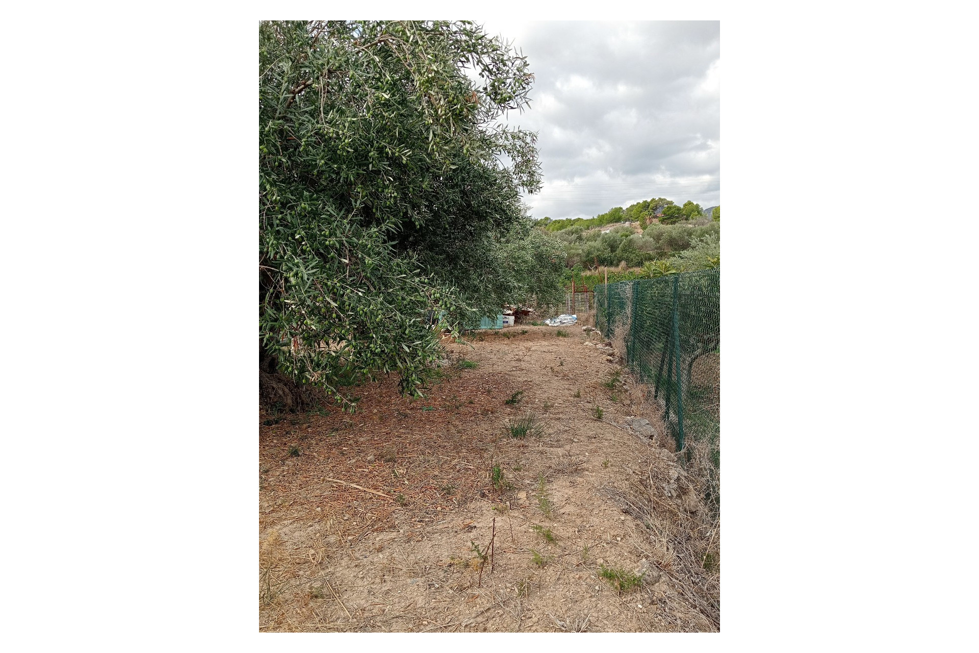 Revente - Parcelle / Terrain - La Nucía