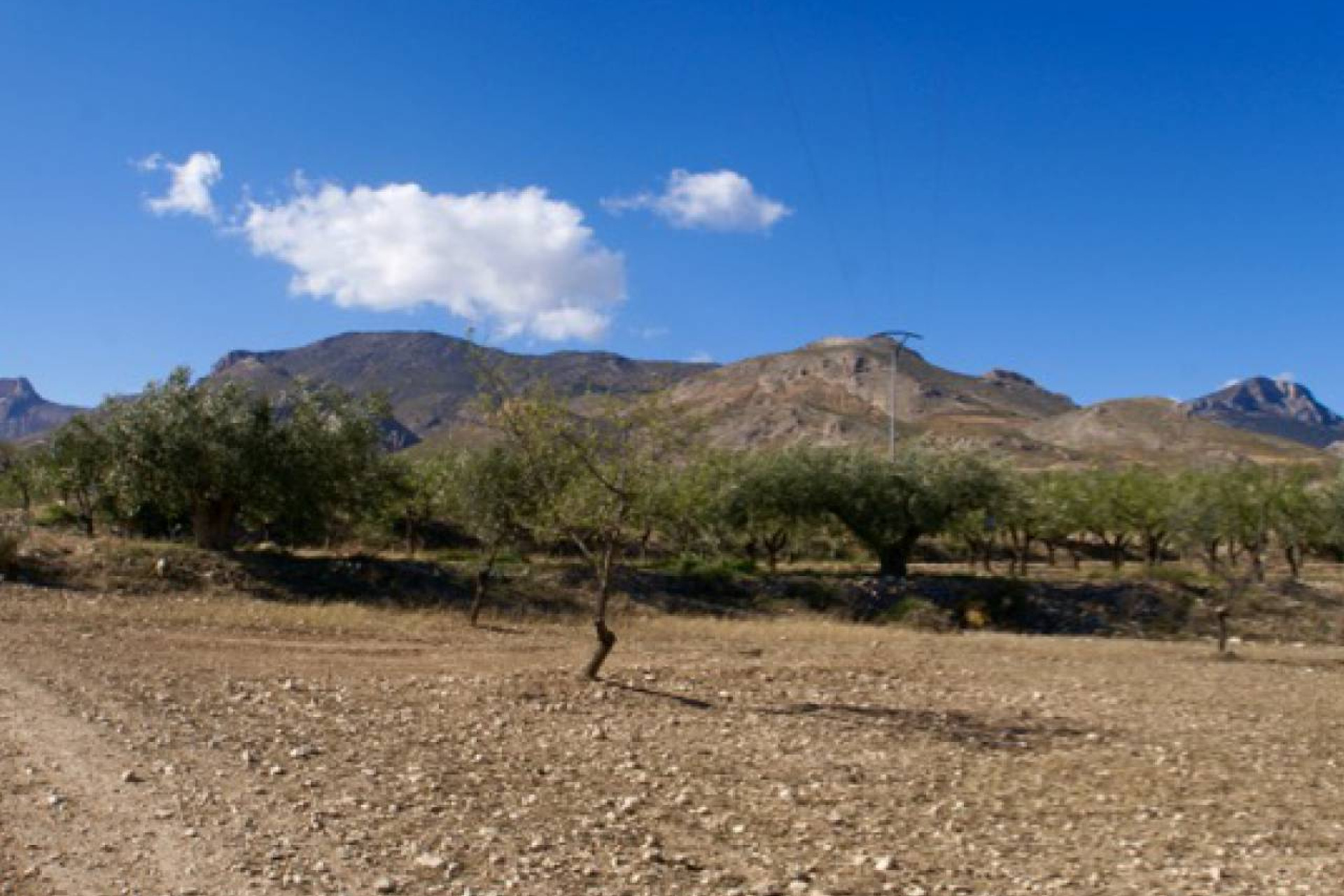 Revente - Parcelle / Terrain - Murcia