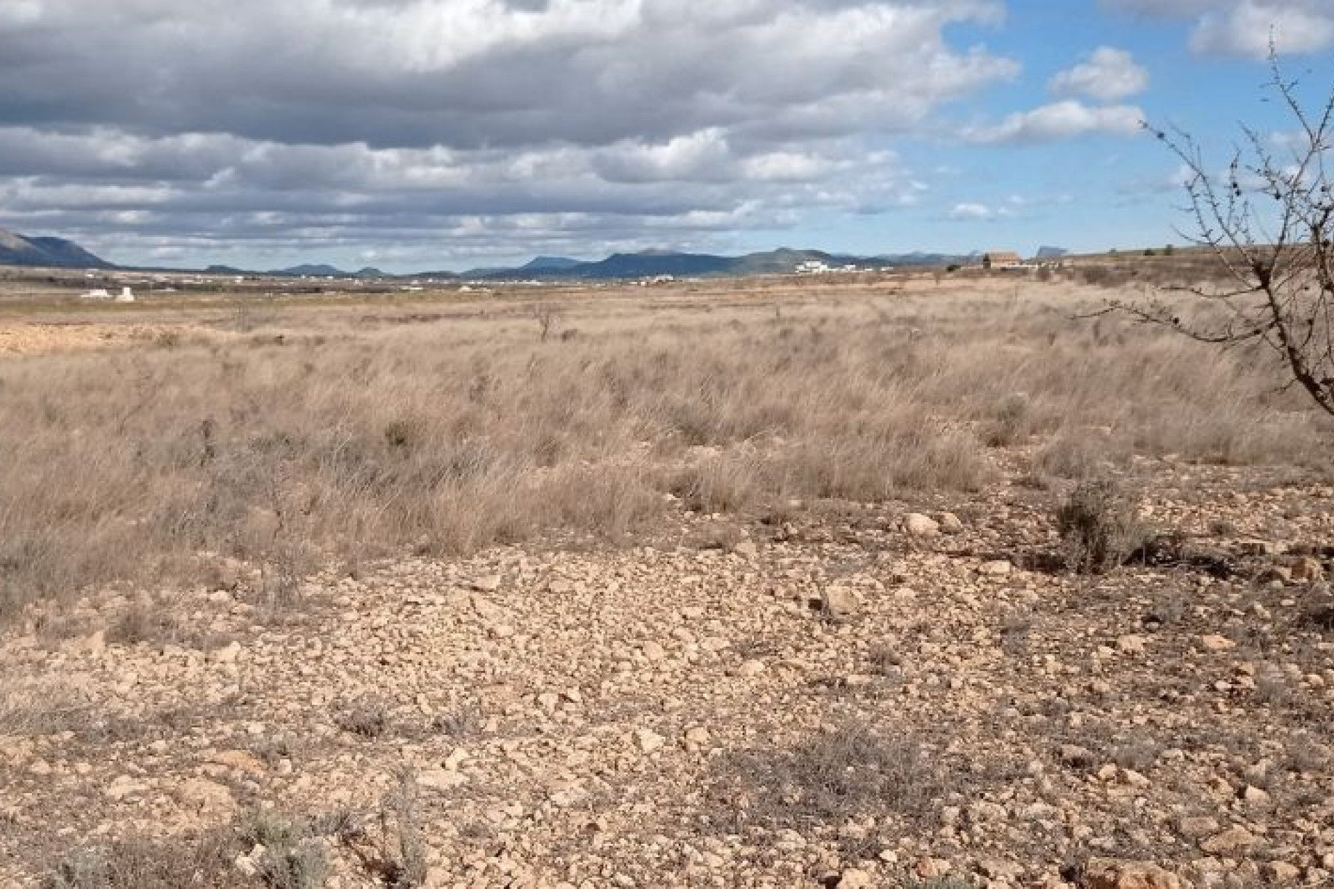 Revente - Parcelle / Terrain - PINOSO