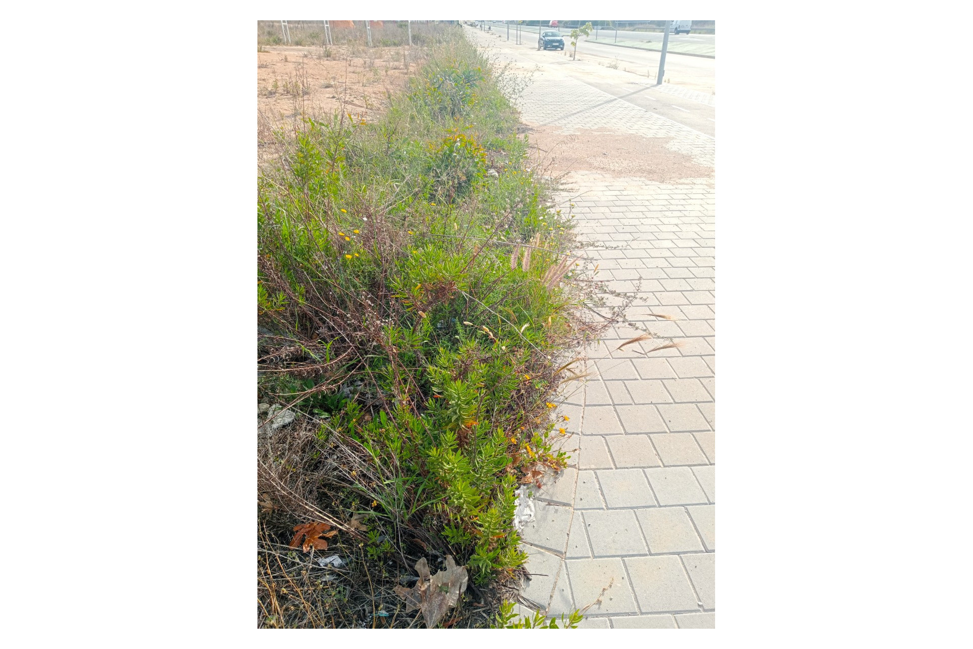 Revente - Parcelle / Terrain - Villajoyosa